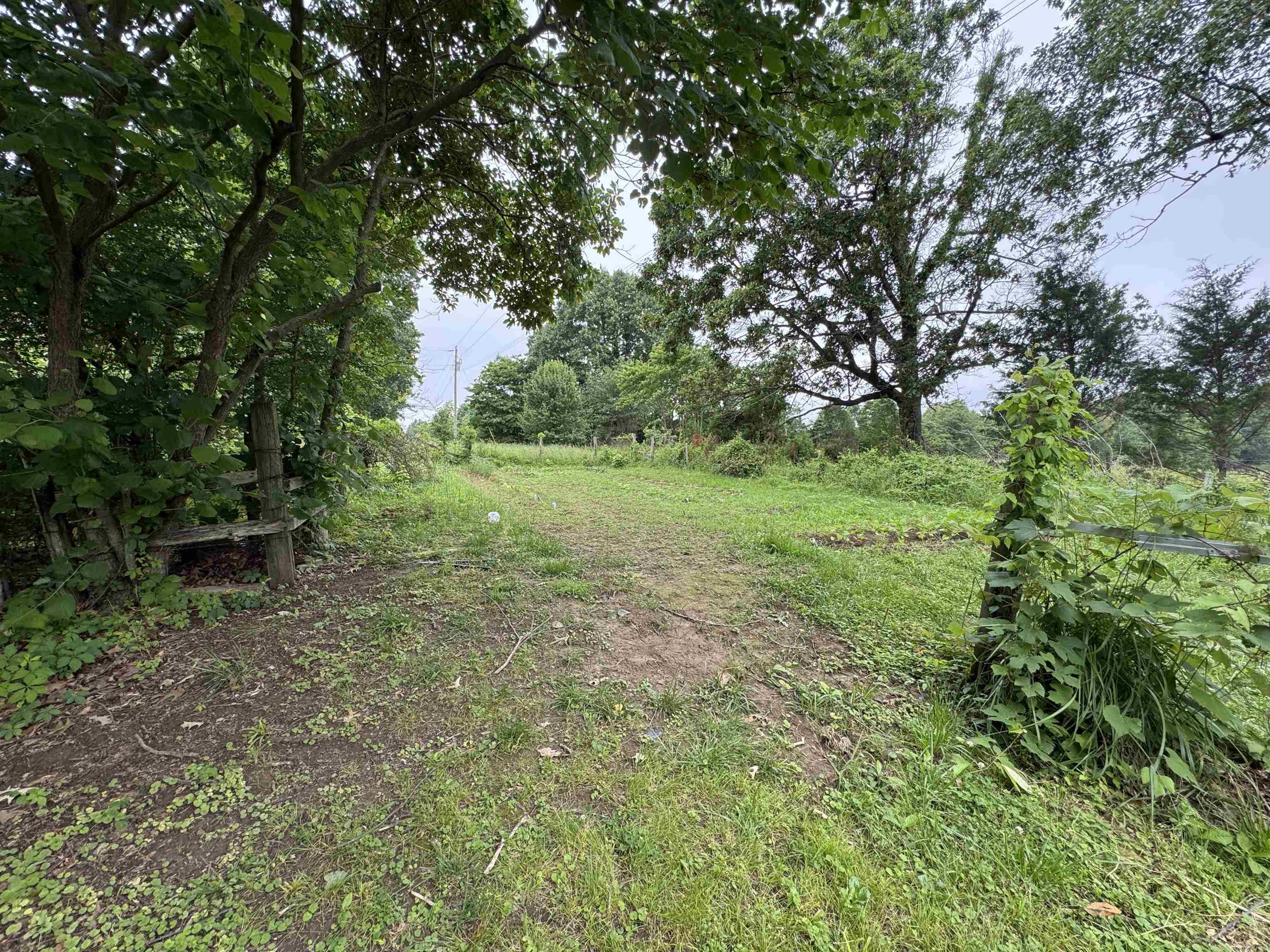687 CR 472  Piggott, AR