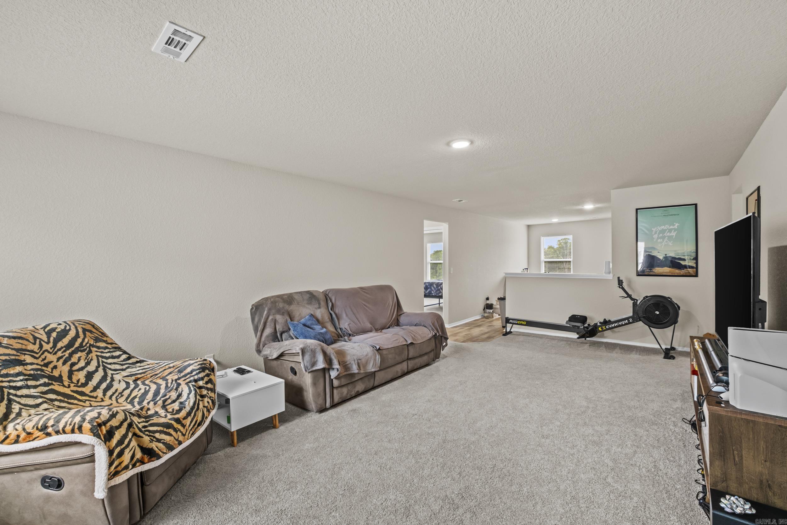 12 Erwin Dr  Austin, AR