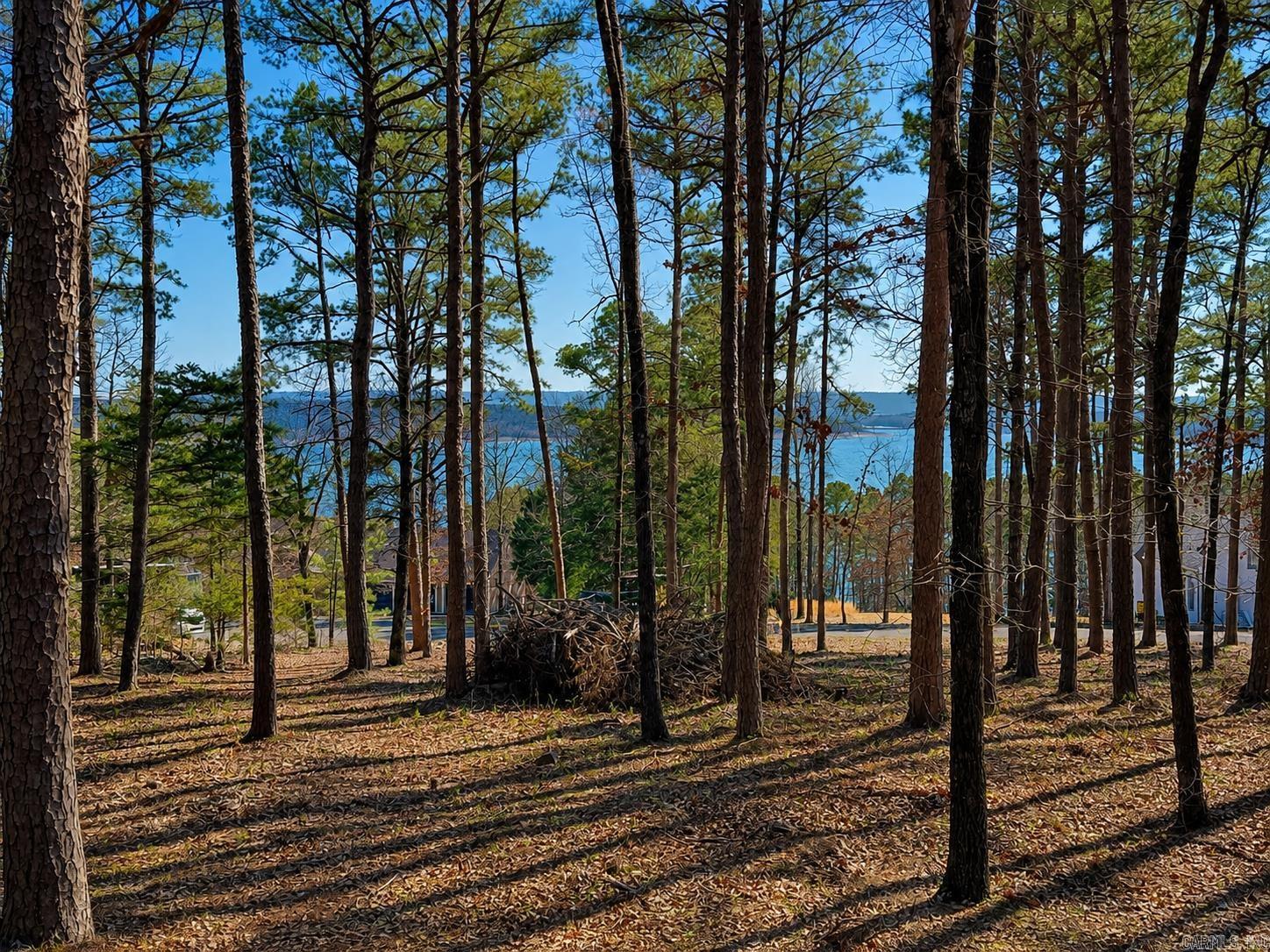 Lot 12a Edgewater Drive  Edgemont, AR