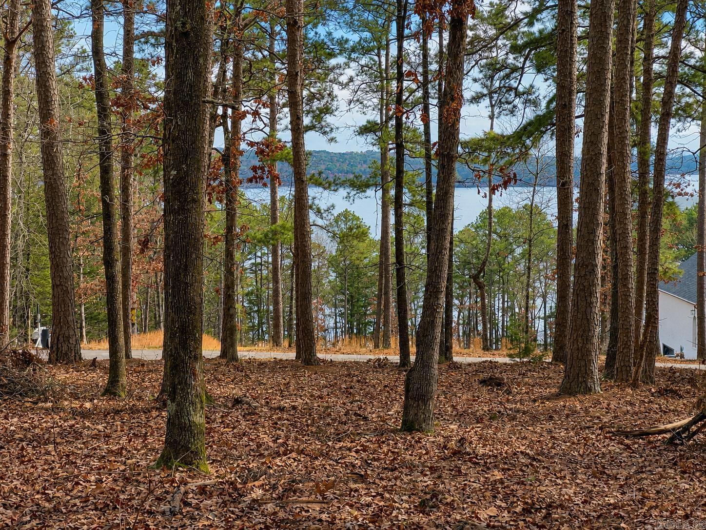 Lot 12a Edgewater Drive  Edgemont, AR