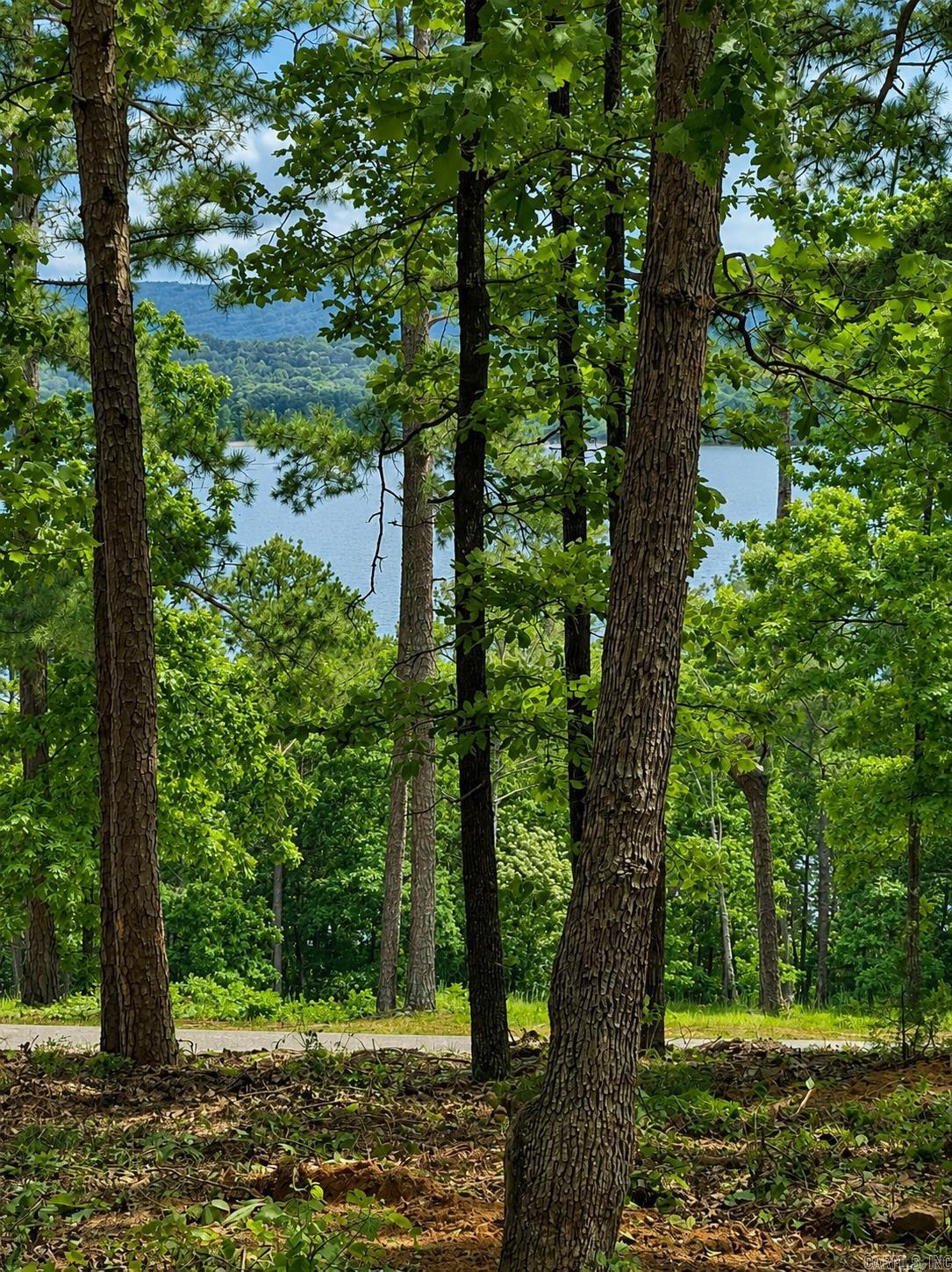 Lot 12a Edgewater Drive  Edgemont, AR