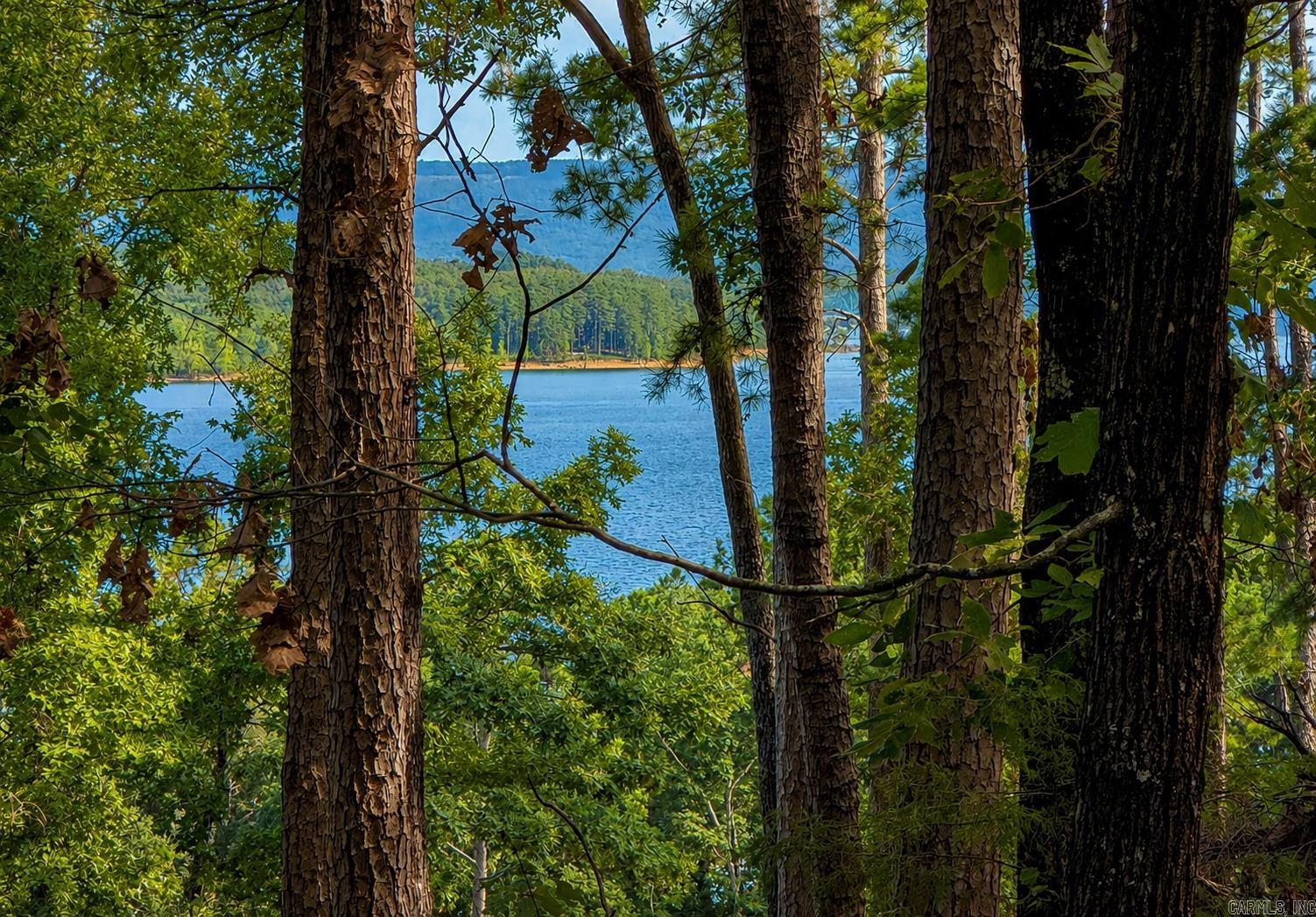Lot 14a Lakewood Drive  Edgemont, AR