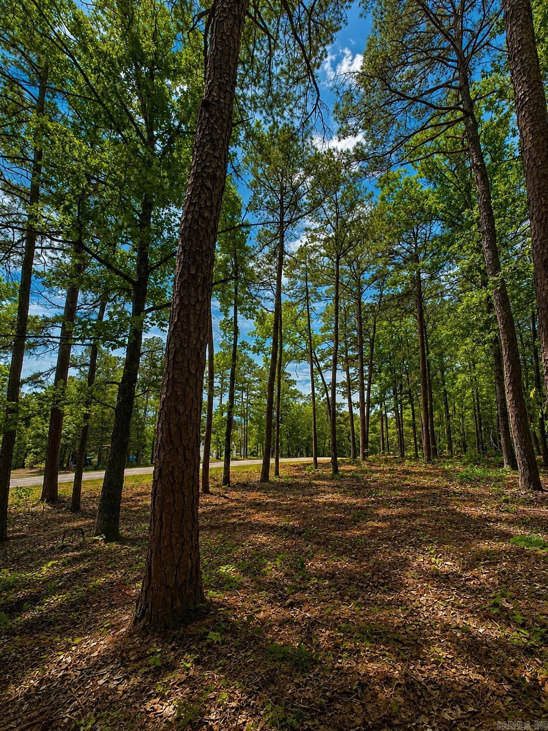 Lot 14a Lakewood Drive  Edgemont, AR