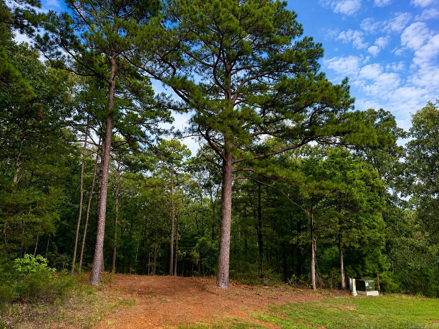 Lot 14a Lakewood Drive  Edgemont, AR