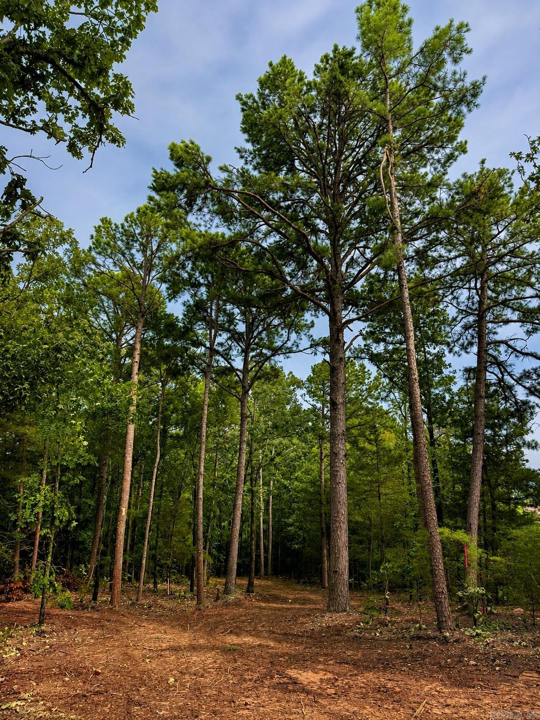 Lot 14a Lakewood Drive  Edgemont, AR