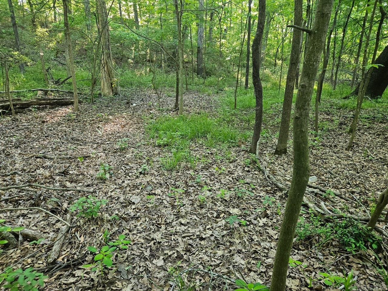 00 Hwy 89  Mayflower, AR