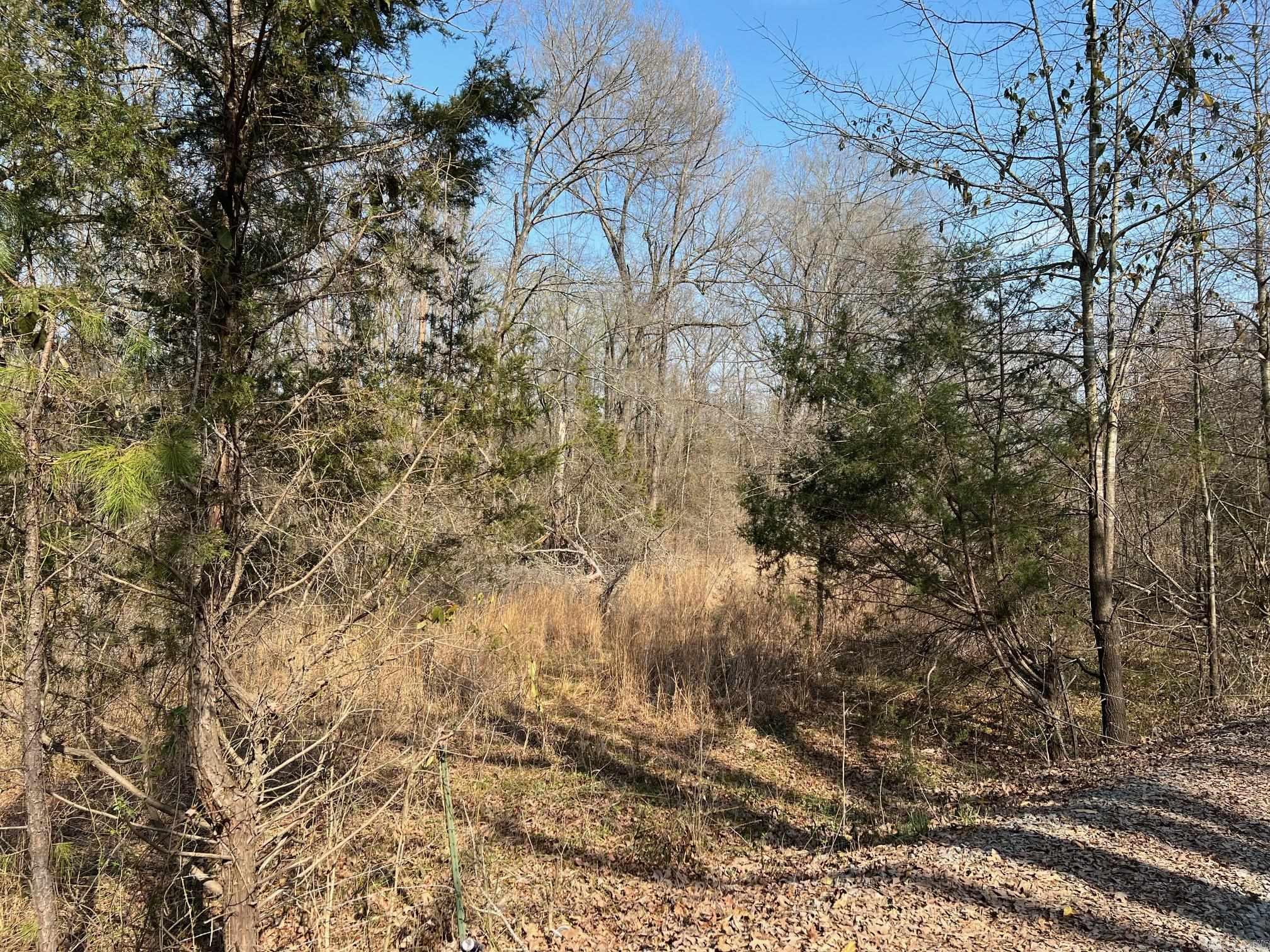 00 Hwy 89  Mayflower, AR
