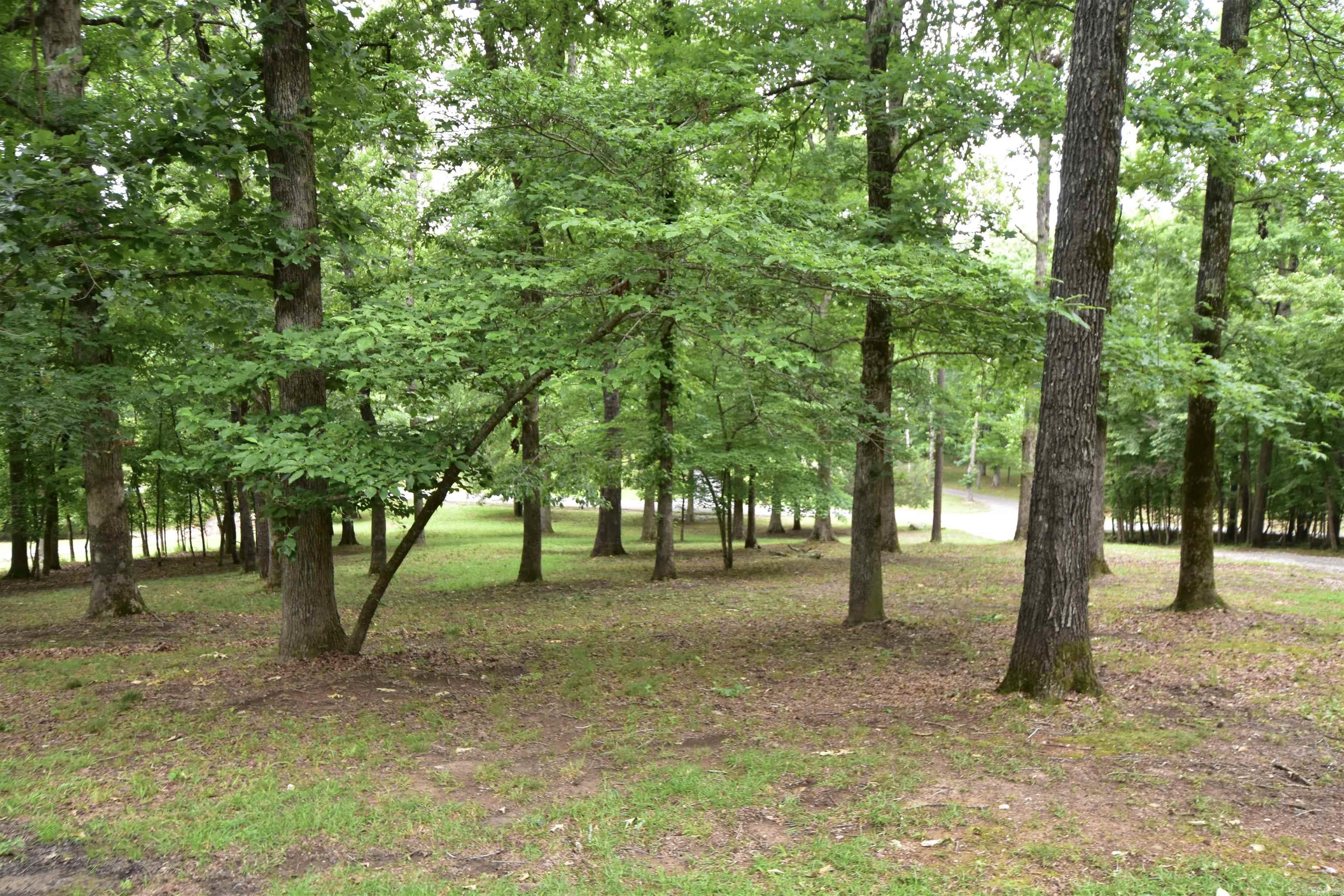 2736 Riverview  Malvern, AR