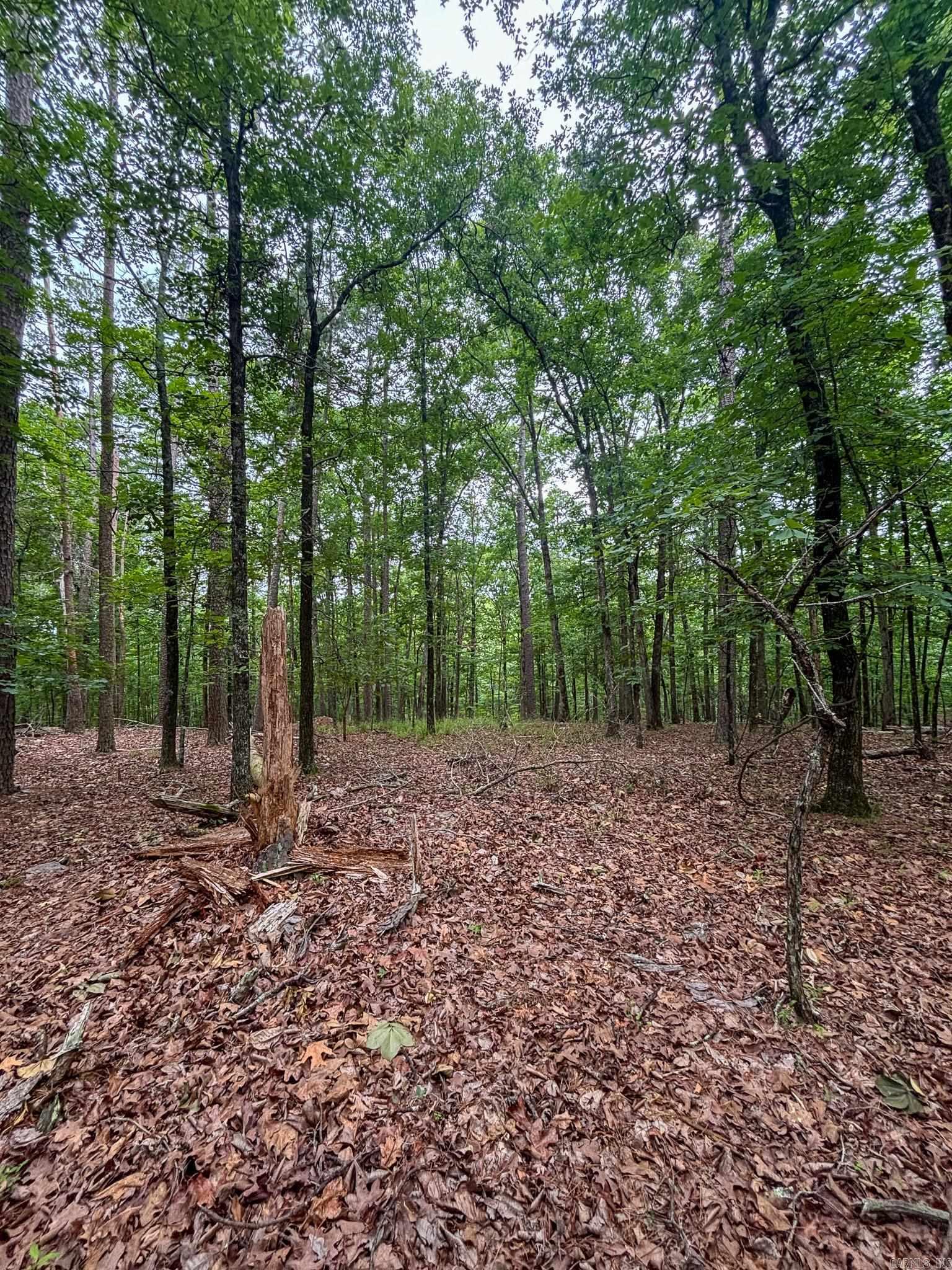 11 Hillside  Mount Ida, AR