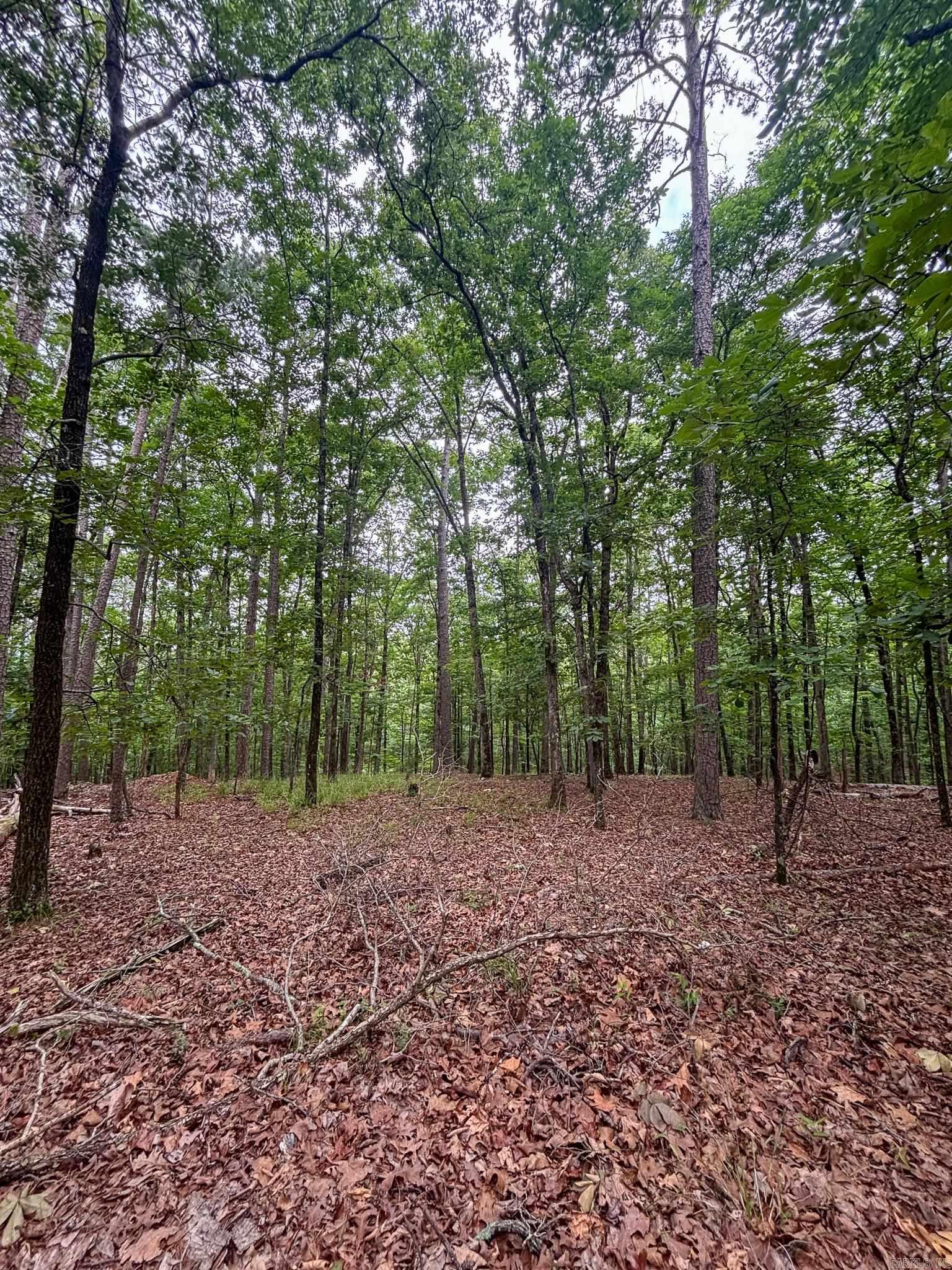 11 Hillside  Mount Ida, AR