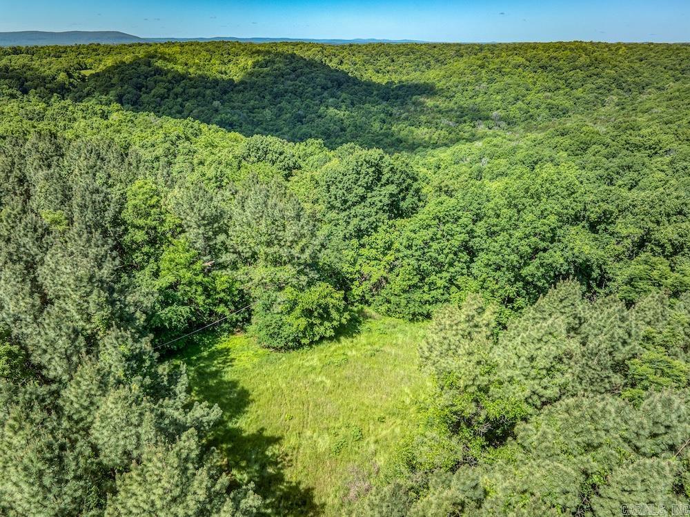 2061 Mcknight Road  Guion, AR