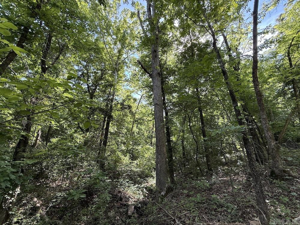  CR 6011  Yellville, AR