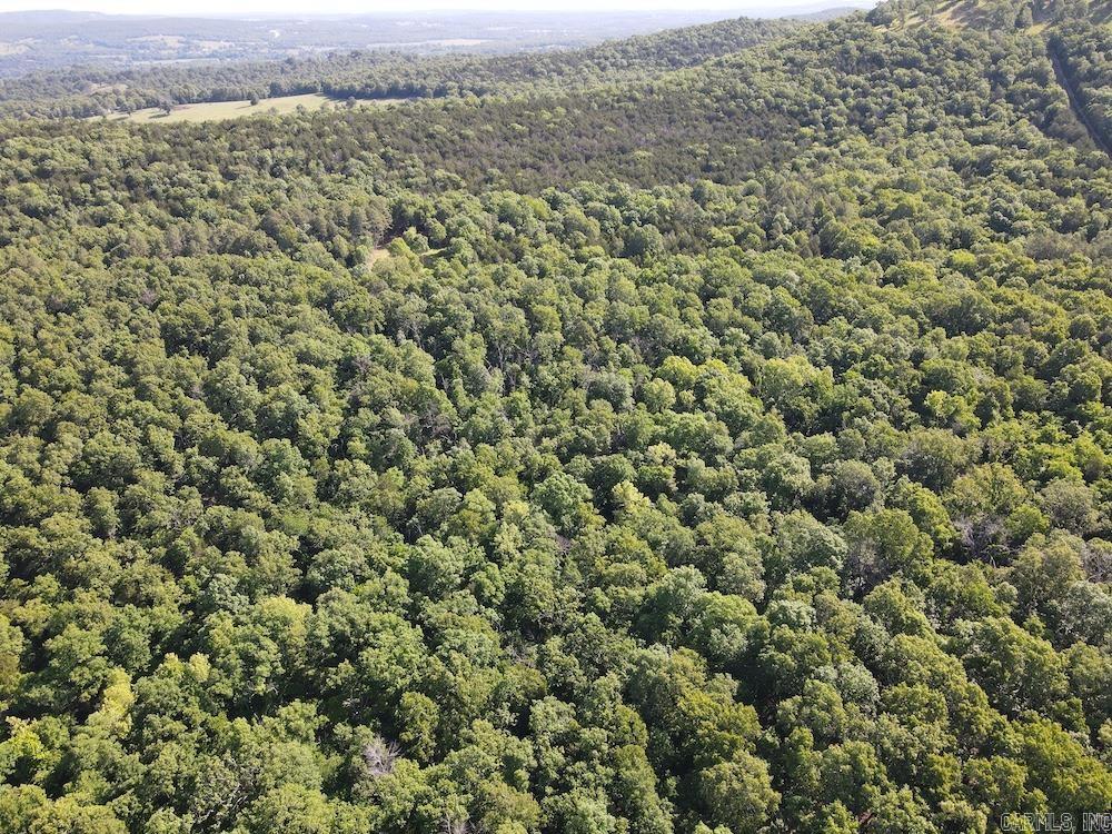  CR 6011  Yellville, AR