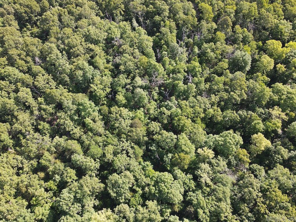 CR 6011  Yellville, AR