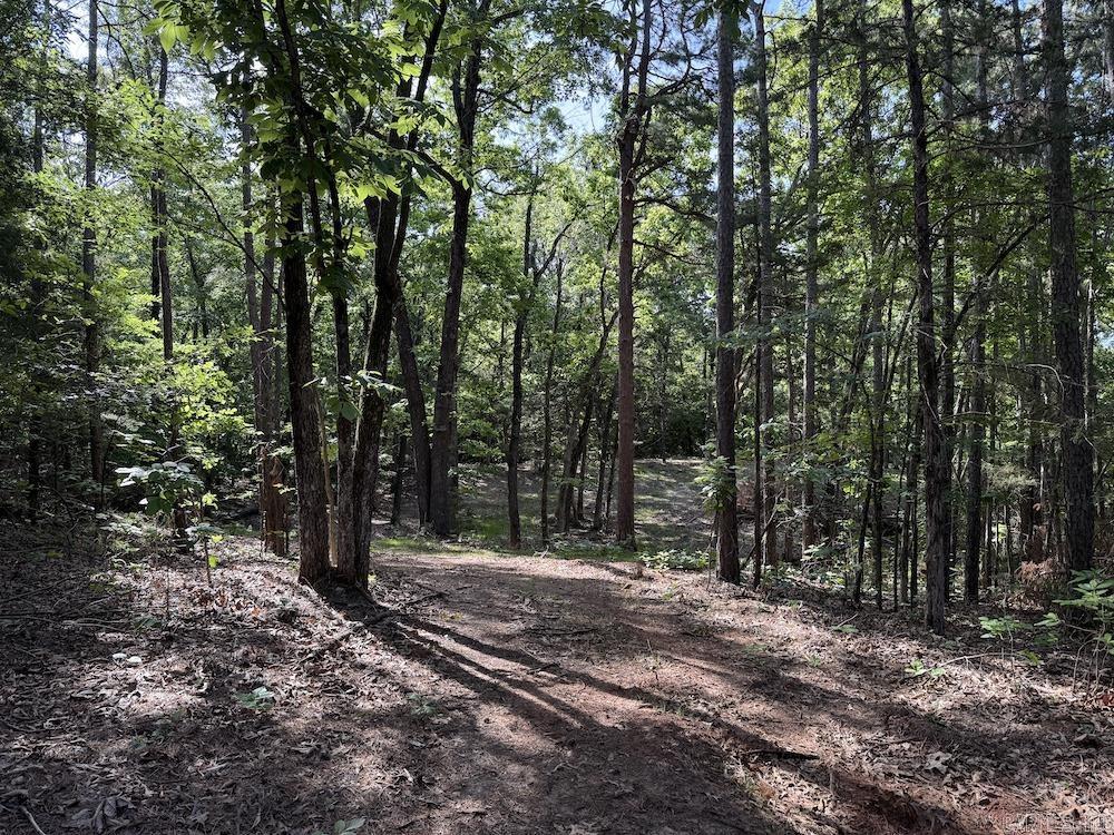  CR 6011  Yellville, AR