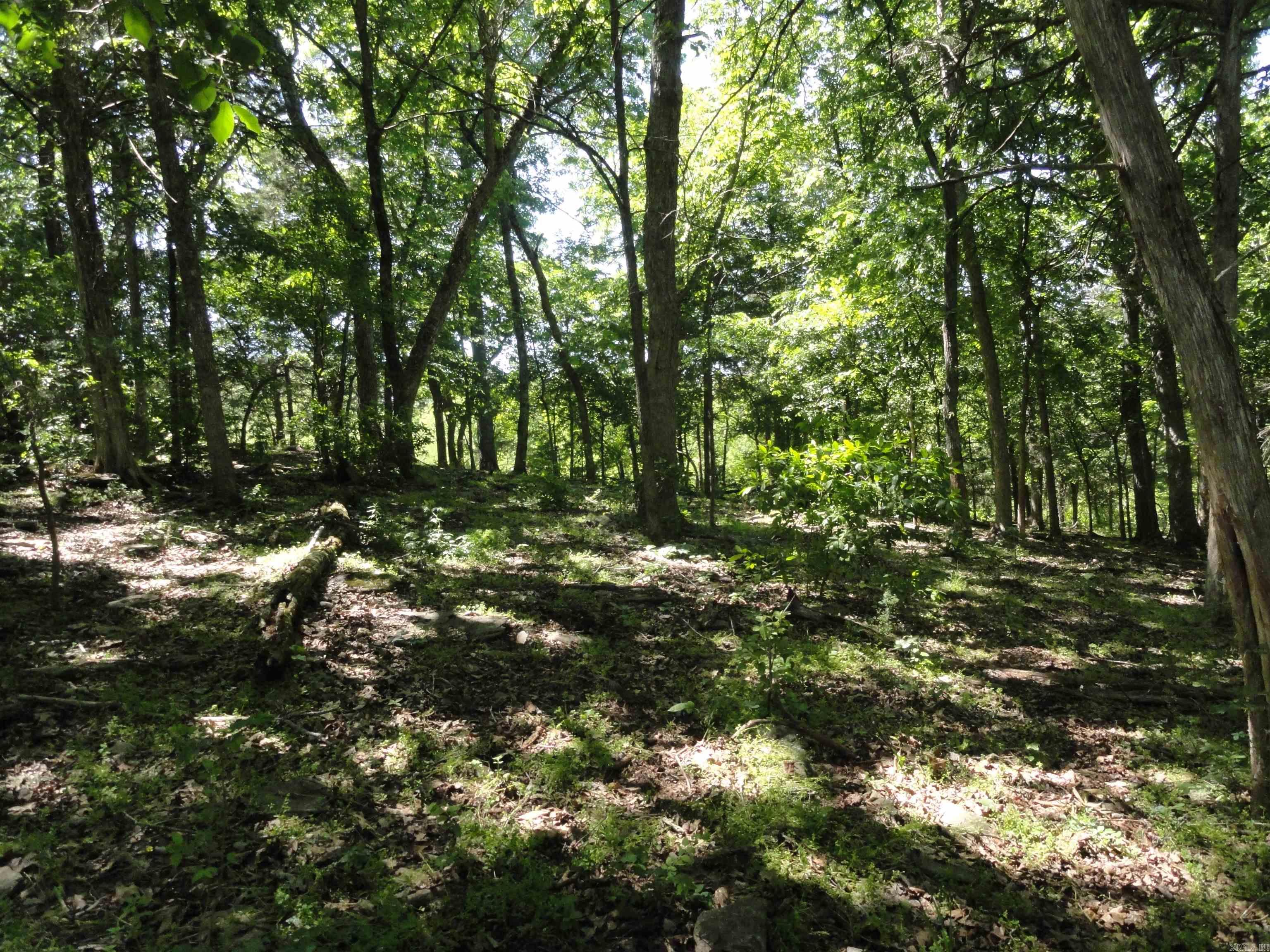 967 E Hwy 333  Saint Joe, AR