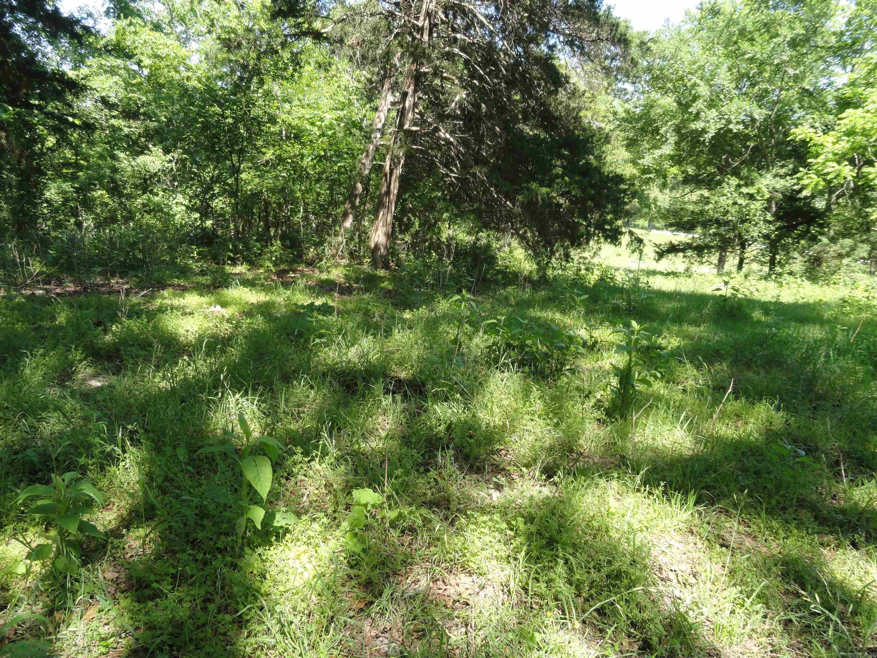 967 E Hwy 333  Saint Joe, AR