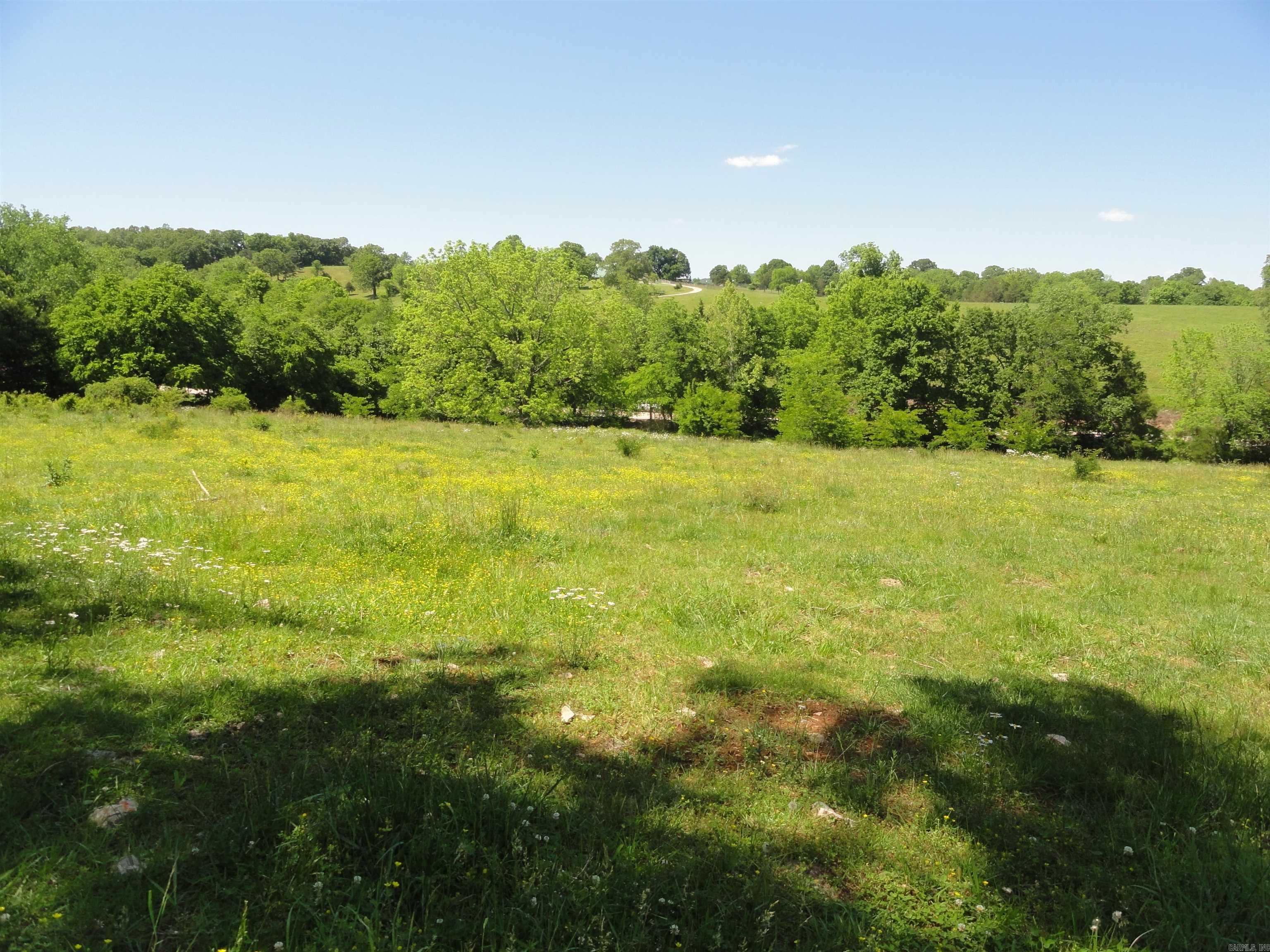 967 E Hwy 333  Saint Joe, AR