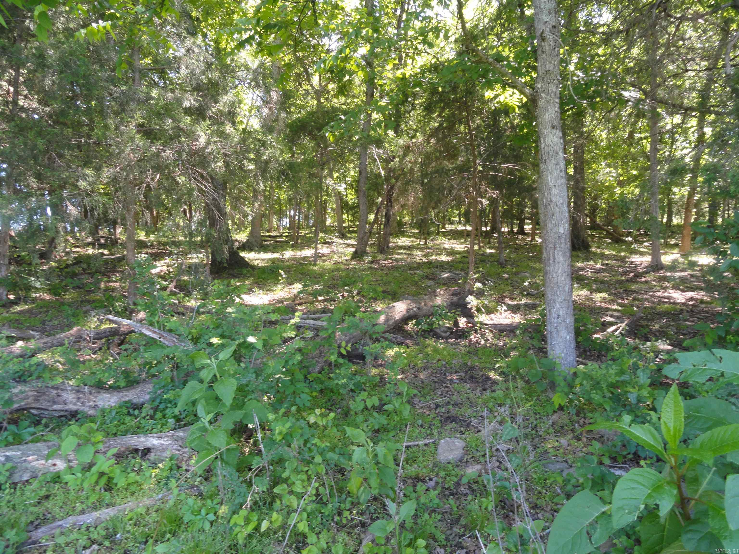 967 E Hwy 333  Saint Joe, AR