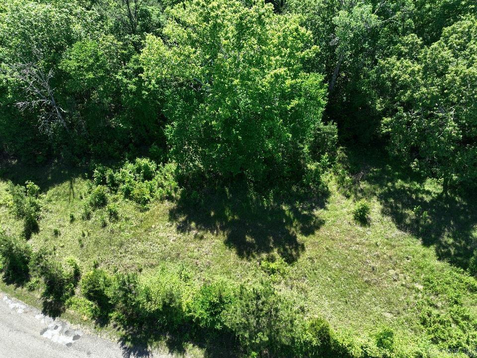 0000 Beech  Point Cedar, AR