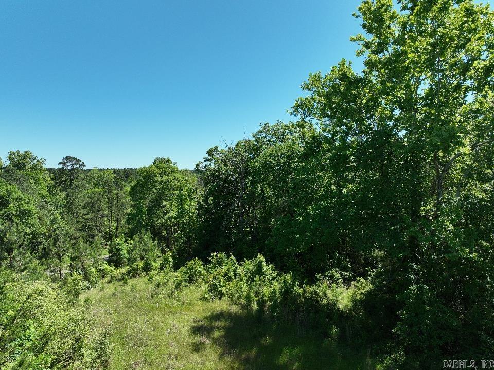 0000 Beech  Point Cedar, AR