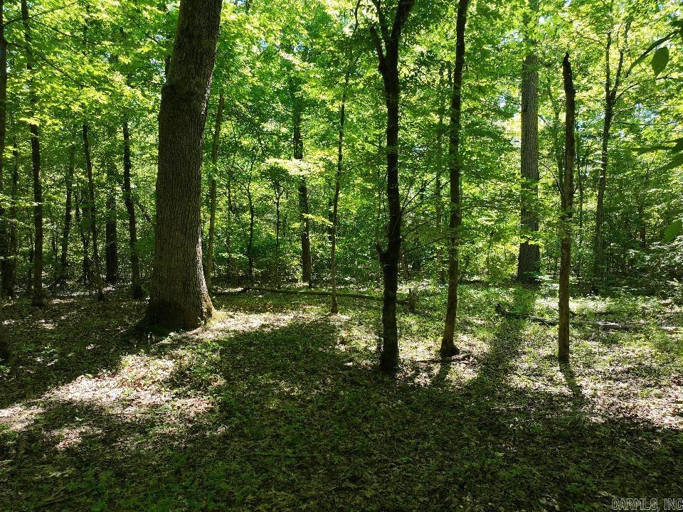 0000 Beech  Point Cedar, AR