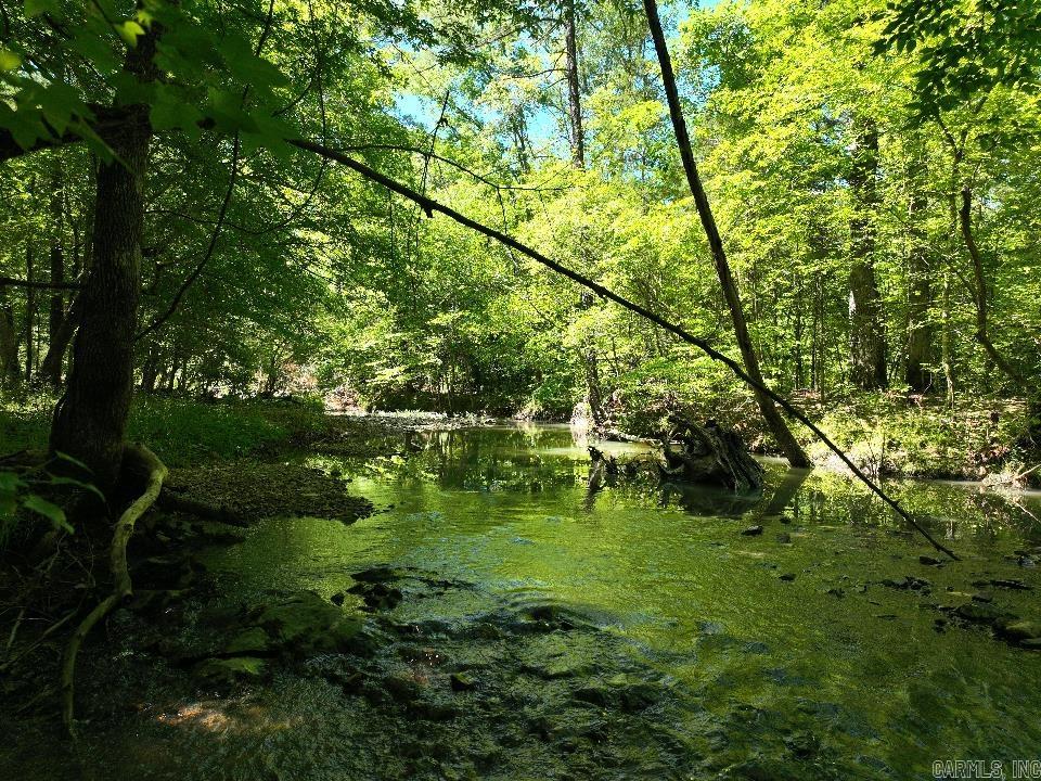 0000 Beech  Point Cedar, AR