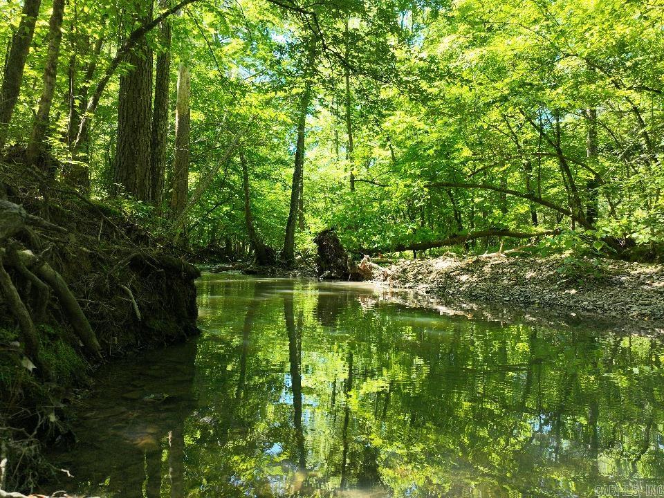 0000 Beech  Point Cedar, AR