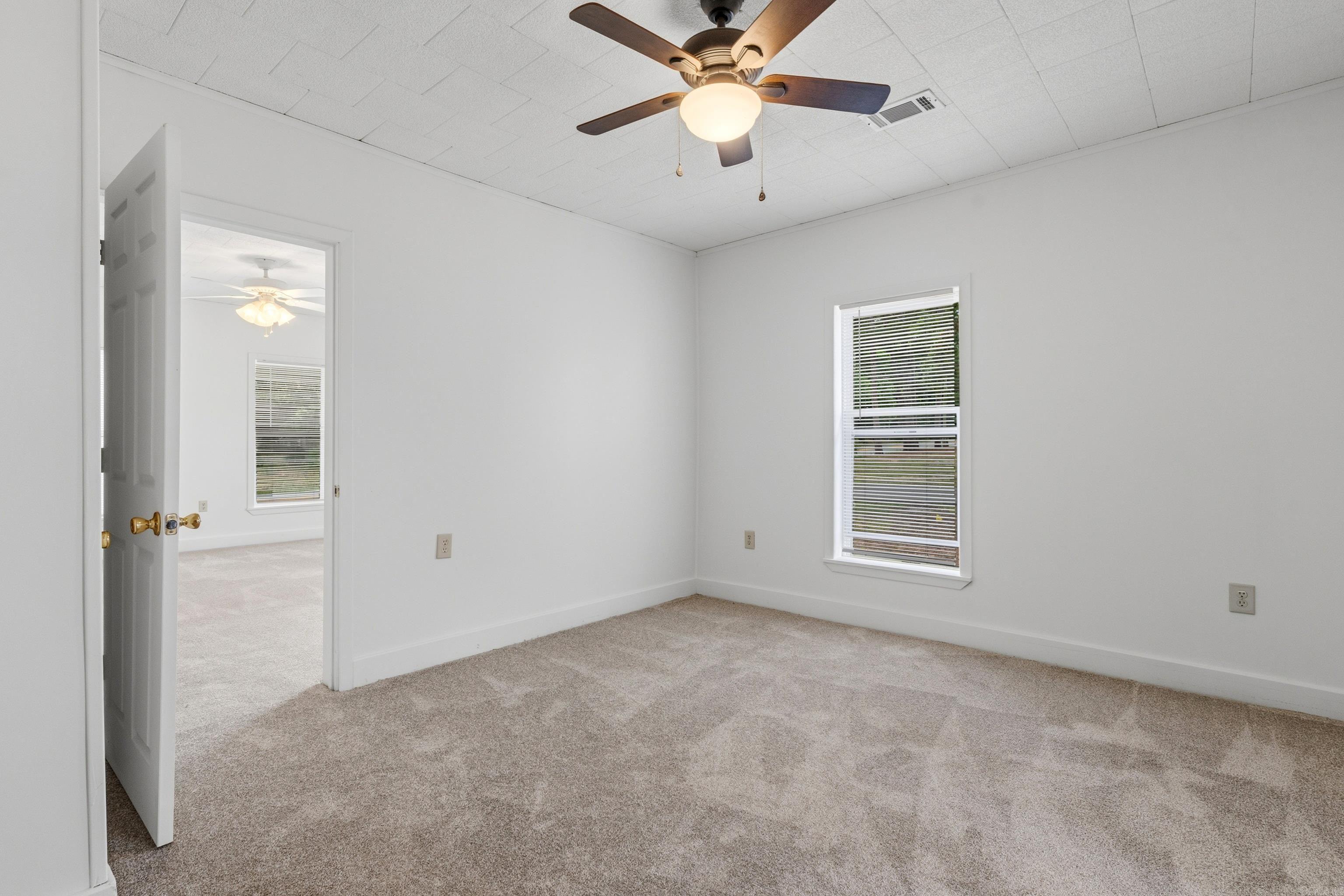 100 Caney  Friendship, AR
