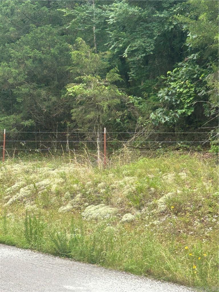 000 Wildcat Hollow  Dardanelle, AR