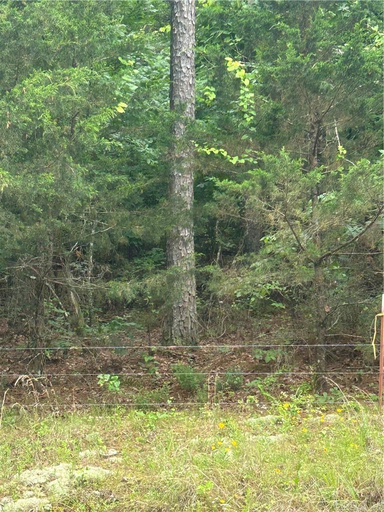 000 Wildcat Hollow  Dardanelle, AR