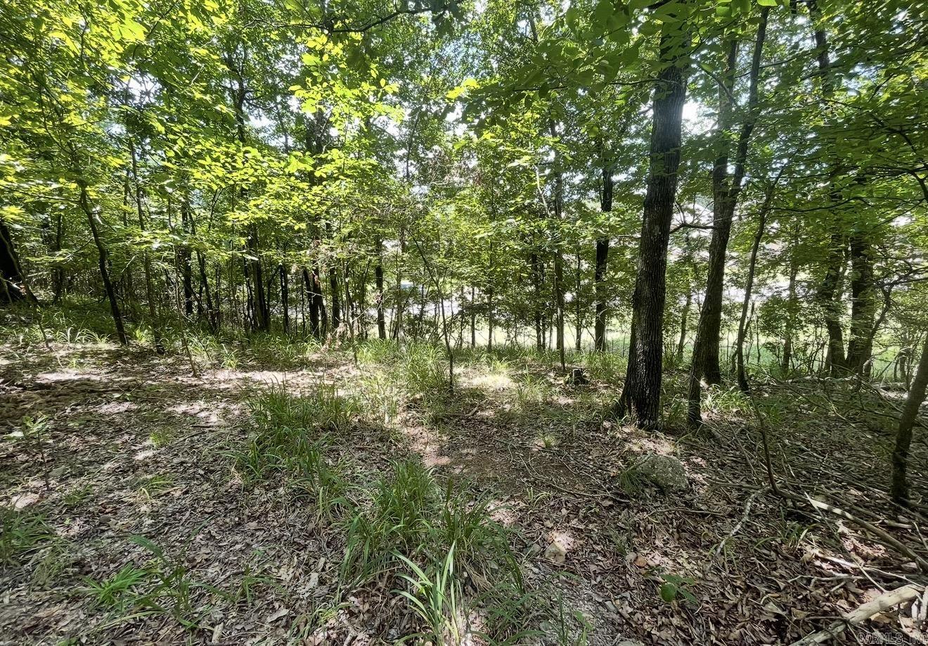 Lot #36 Saratoga  Hot Springs, AR