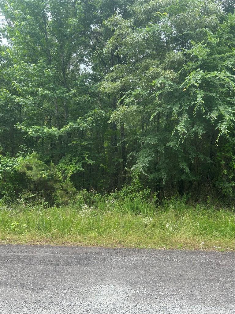 000 Wildcat Hollow  Dardanelle, AR