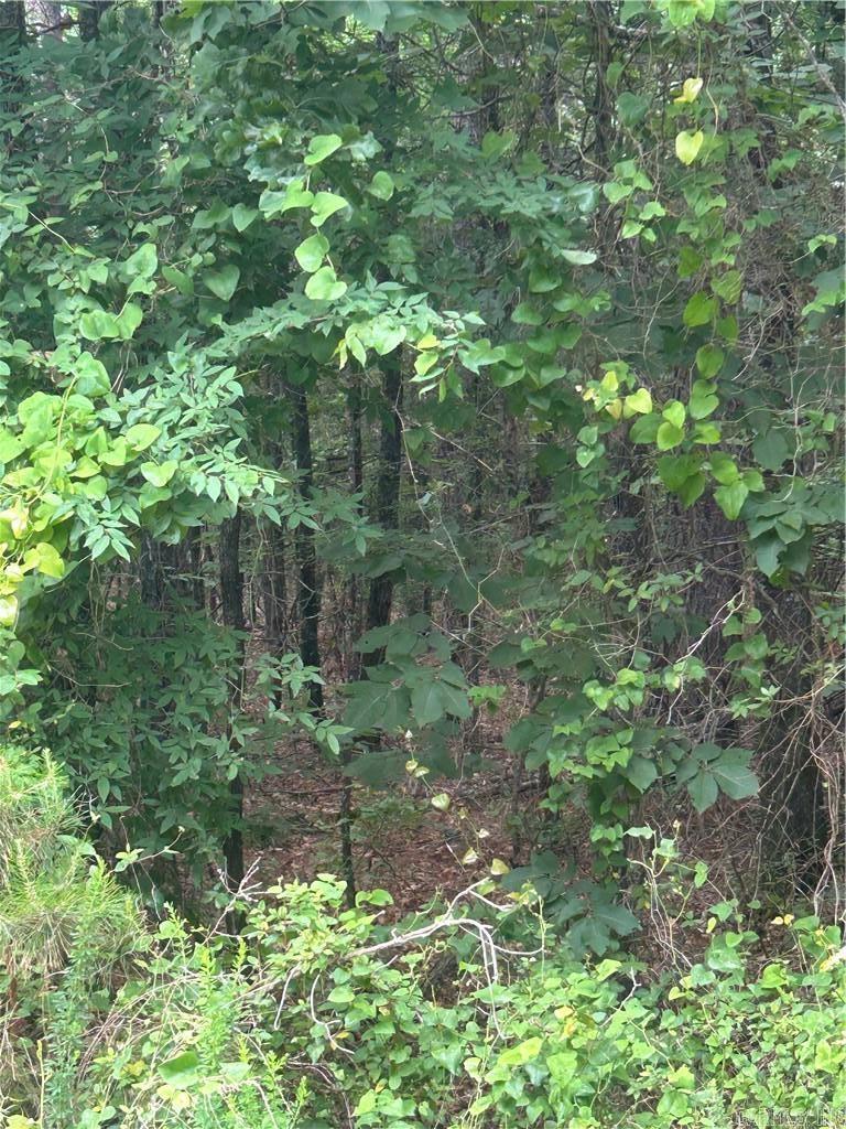 000 Wildcat Hollow  Dardanelle, AR