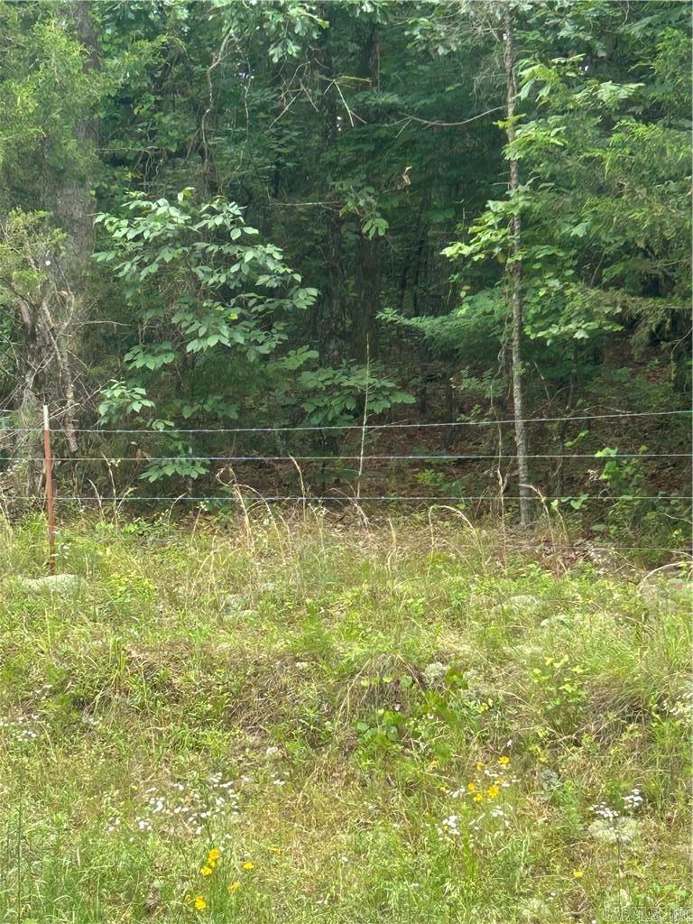 000 Wildcat Hollow  Dardanelle, AR