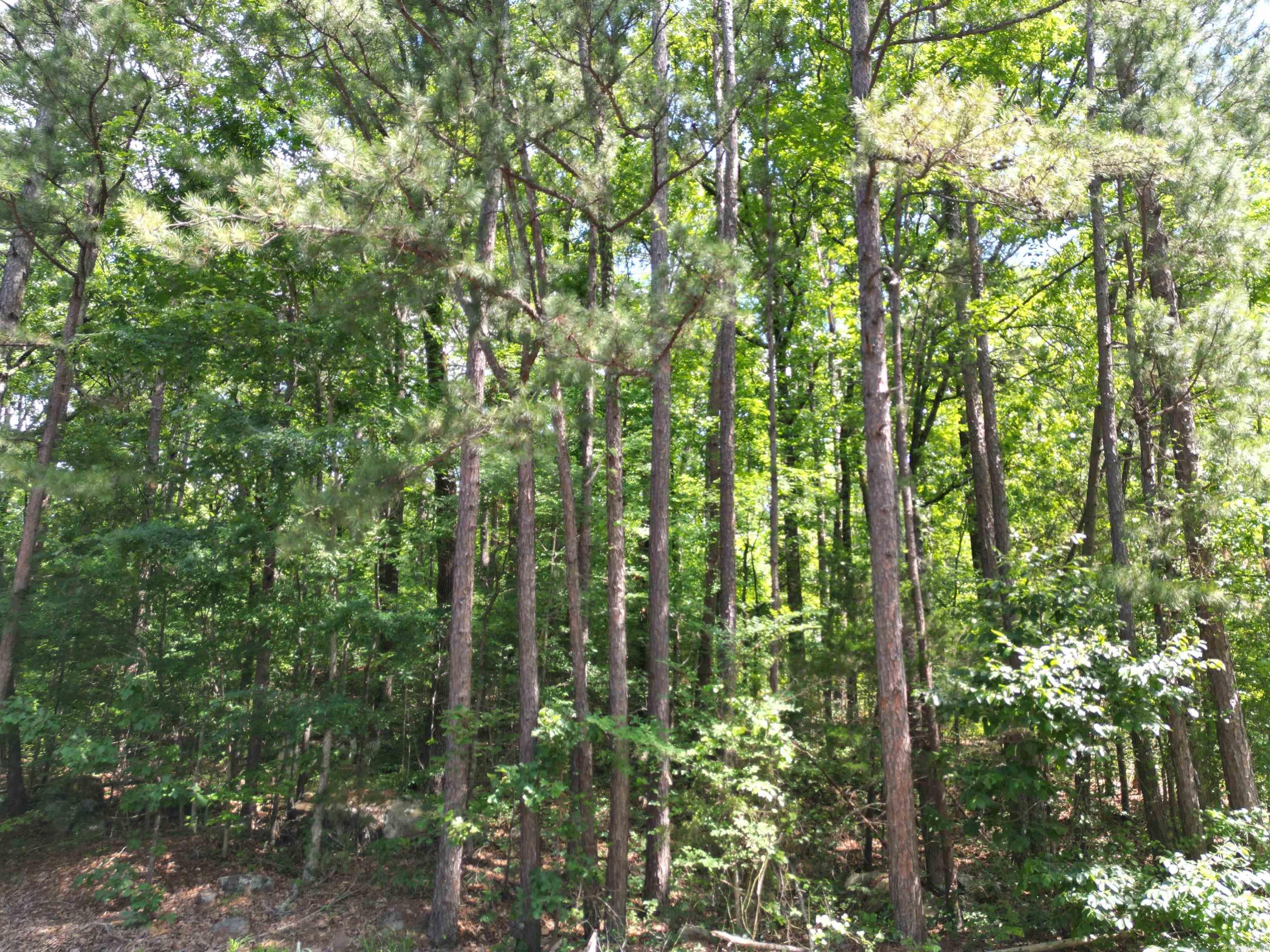 9999 Rockwood  Tumbling Shoals, AR