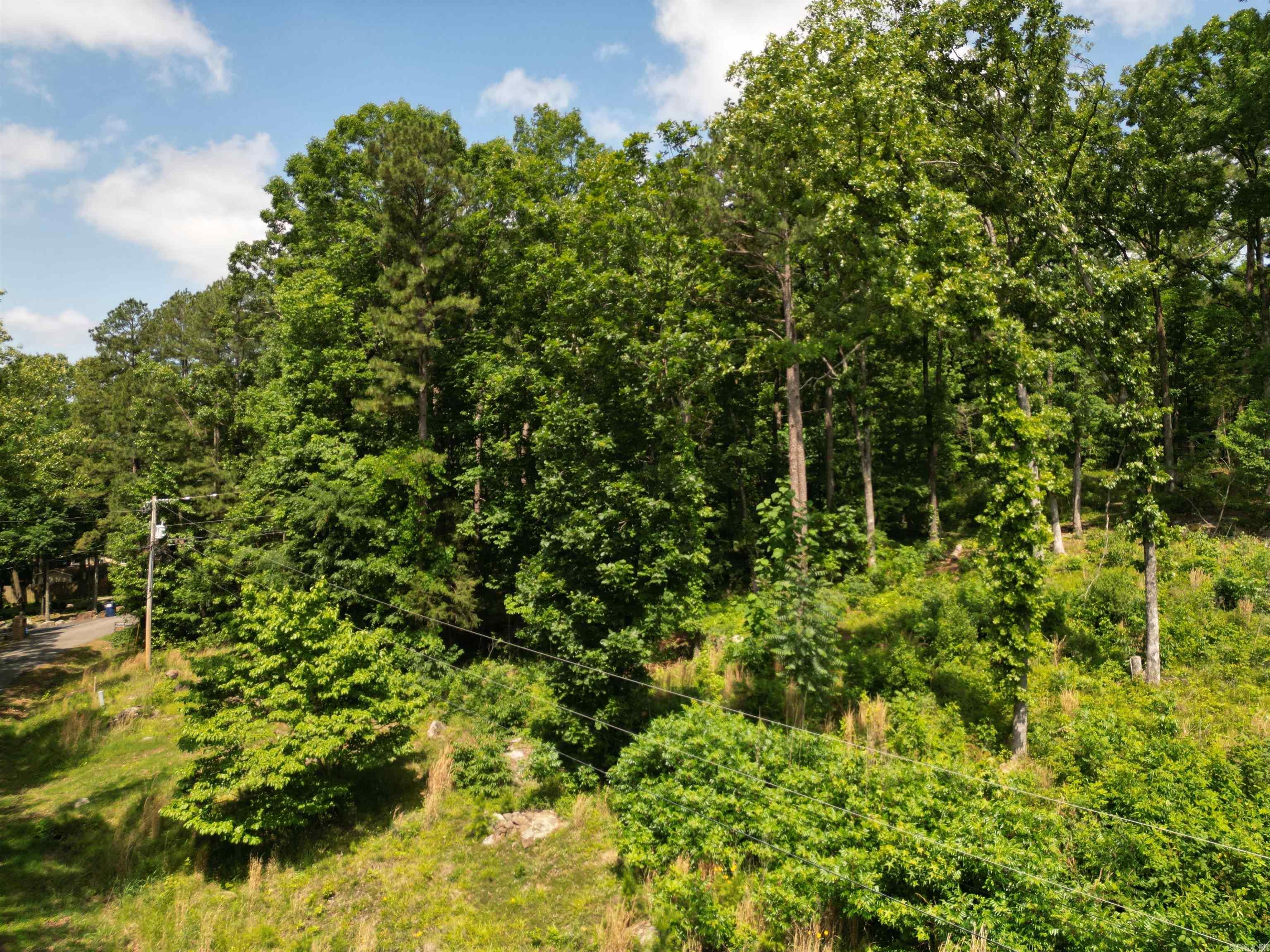 9999 Rockwood  Tumbling Shoals, AR
