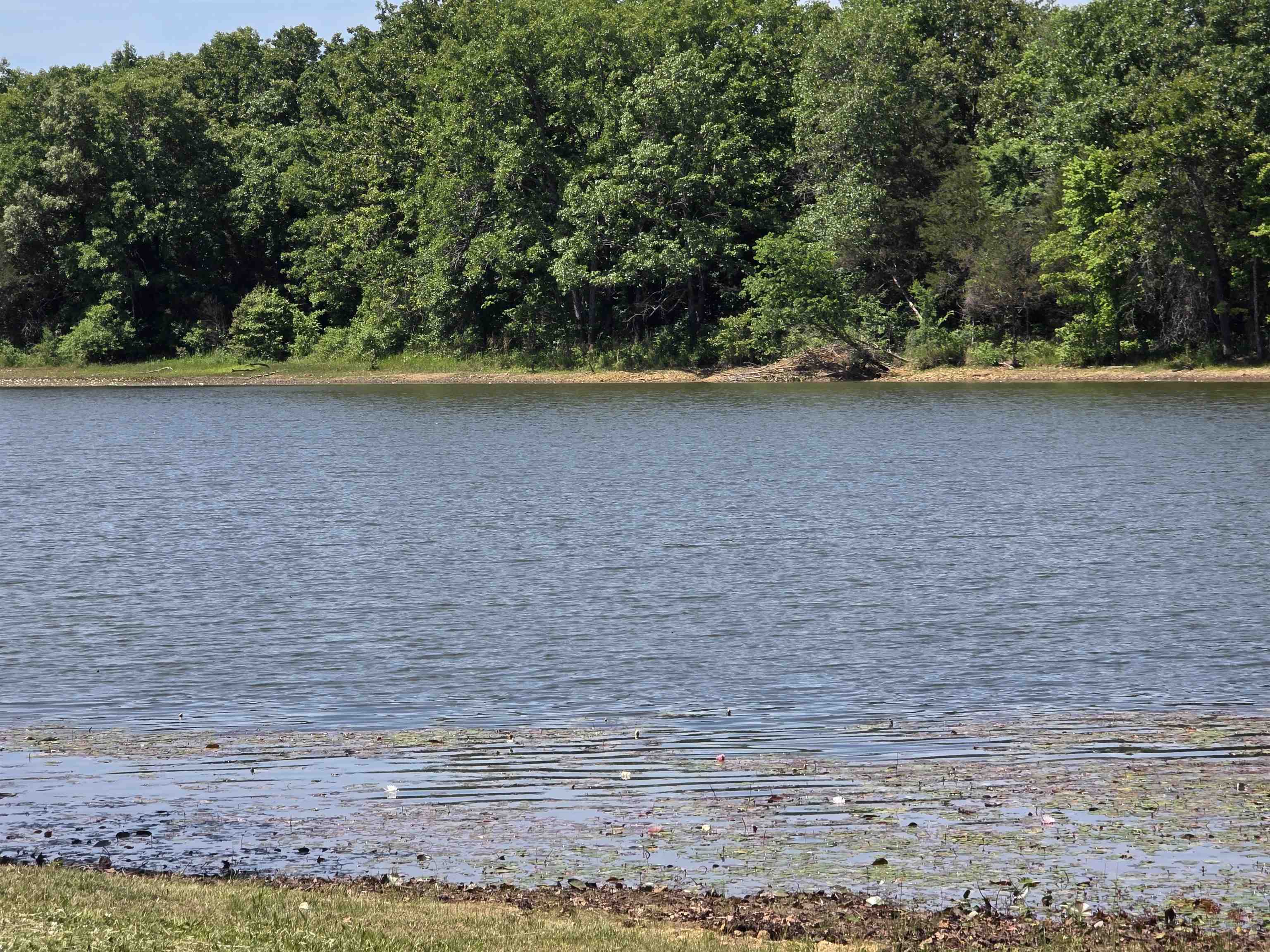L-11, B-9 N Lake  Horseshoe Bend, AR