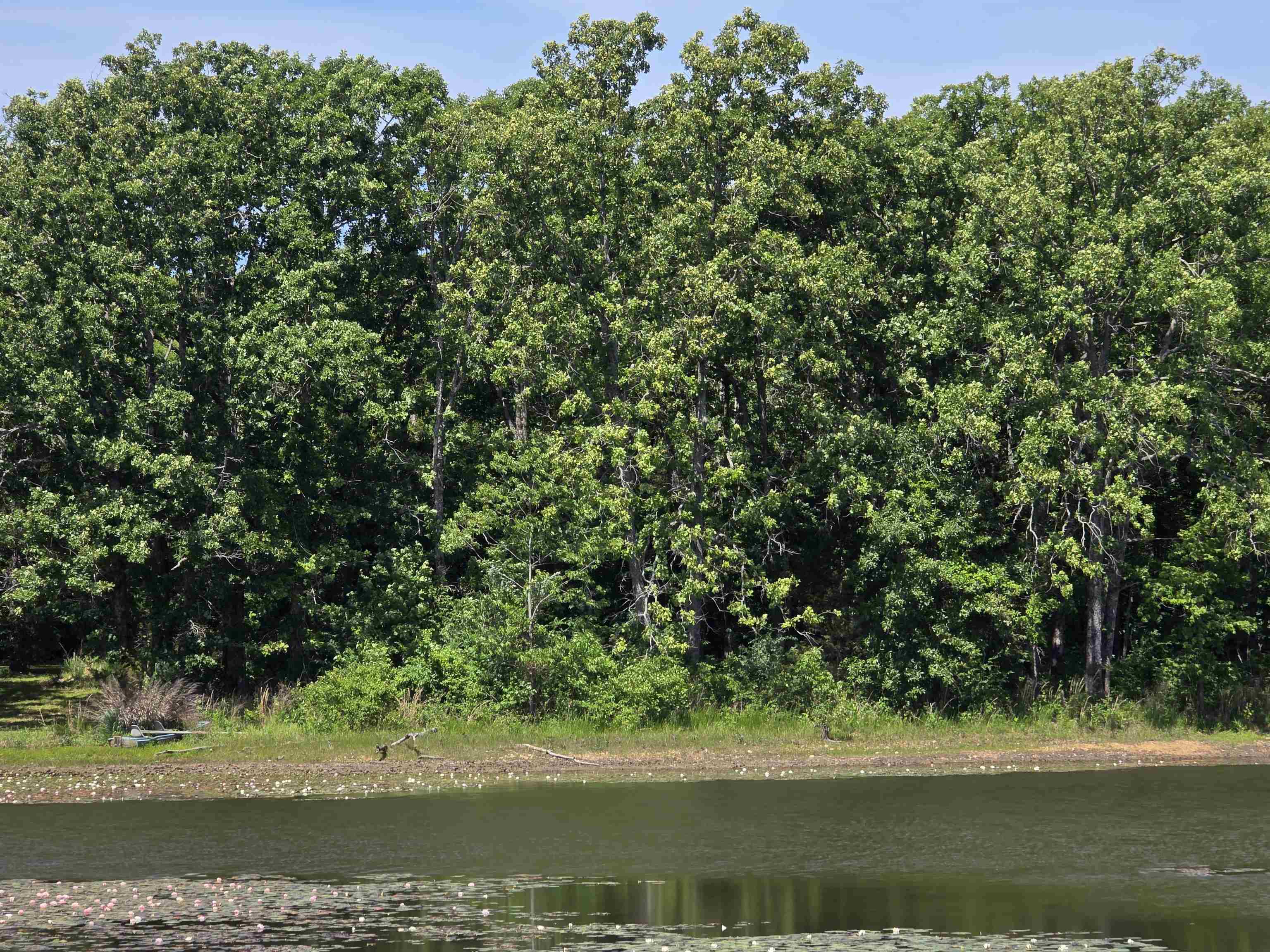 L-11, B-9 N Lake  Horseshoe Bend, AR