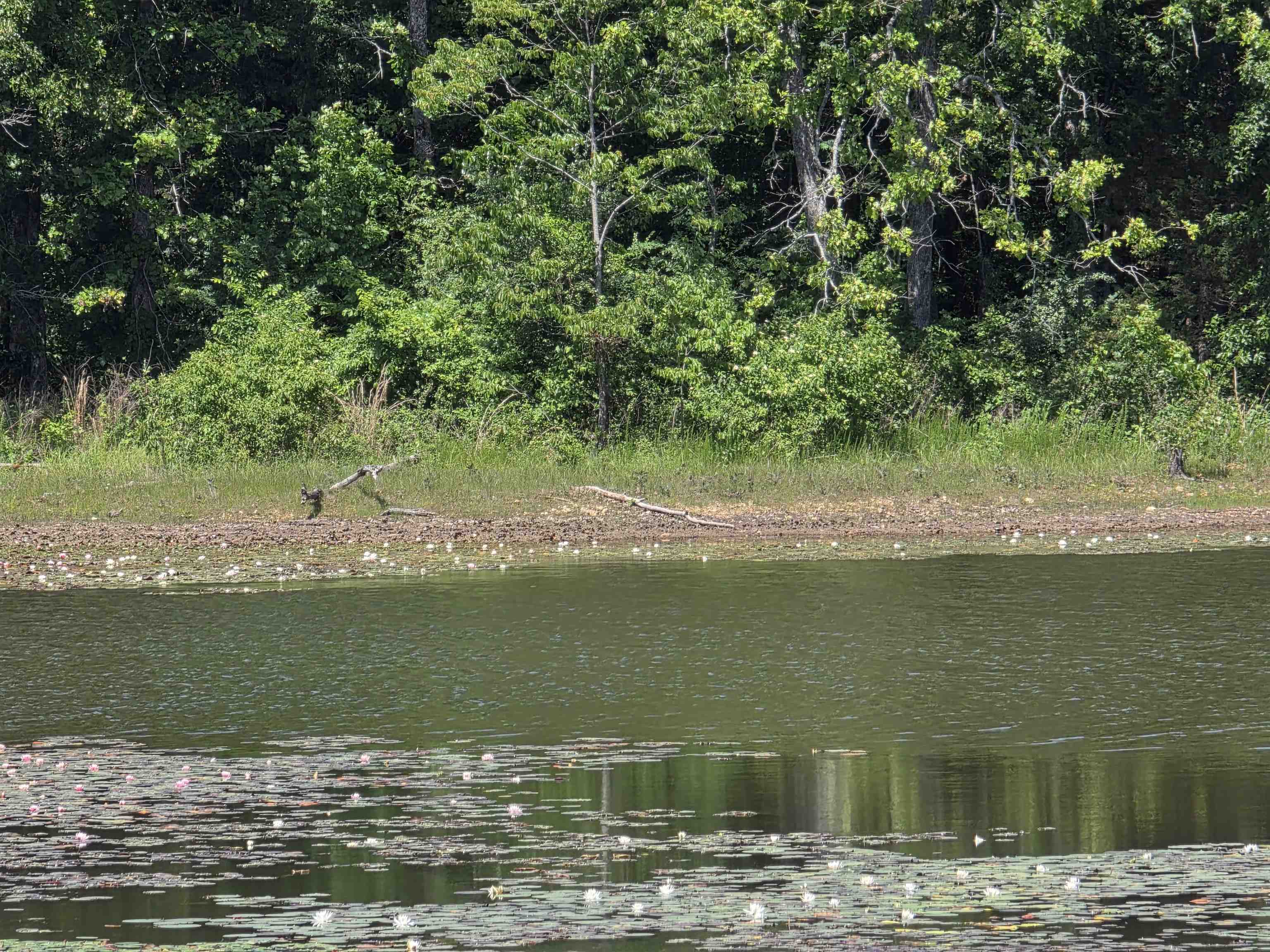 L-11, B-9 N Lake  Horseshoe Bend, AR