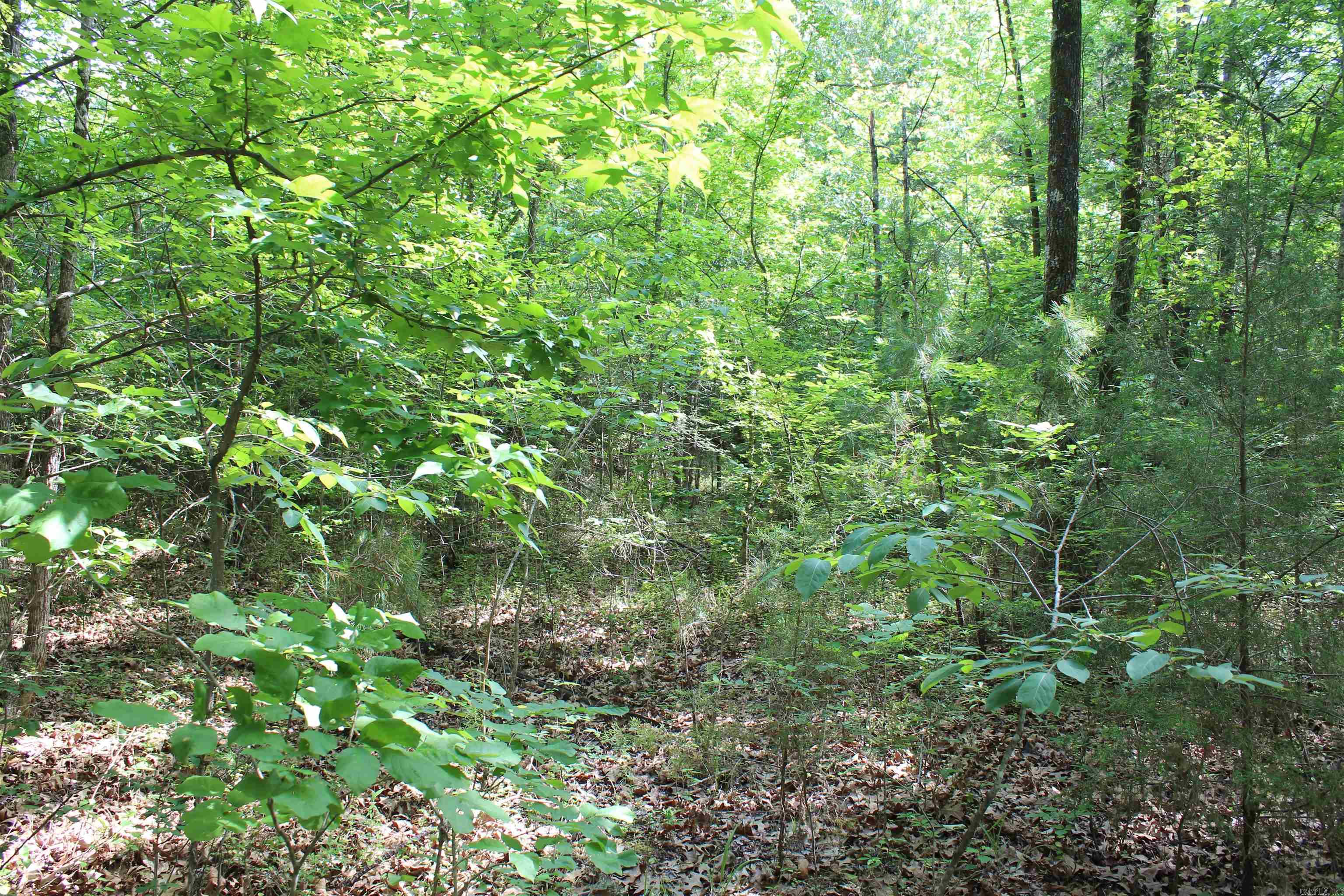 000 426  Dardanelle, AR