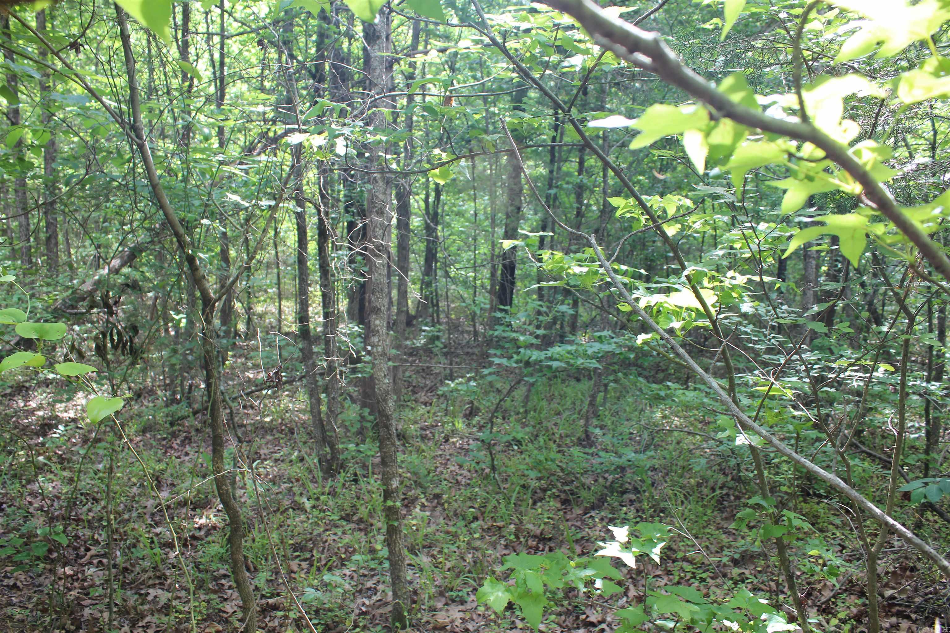 000 426  Dardanelle, AR