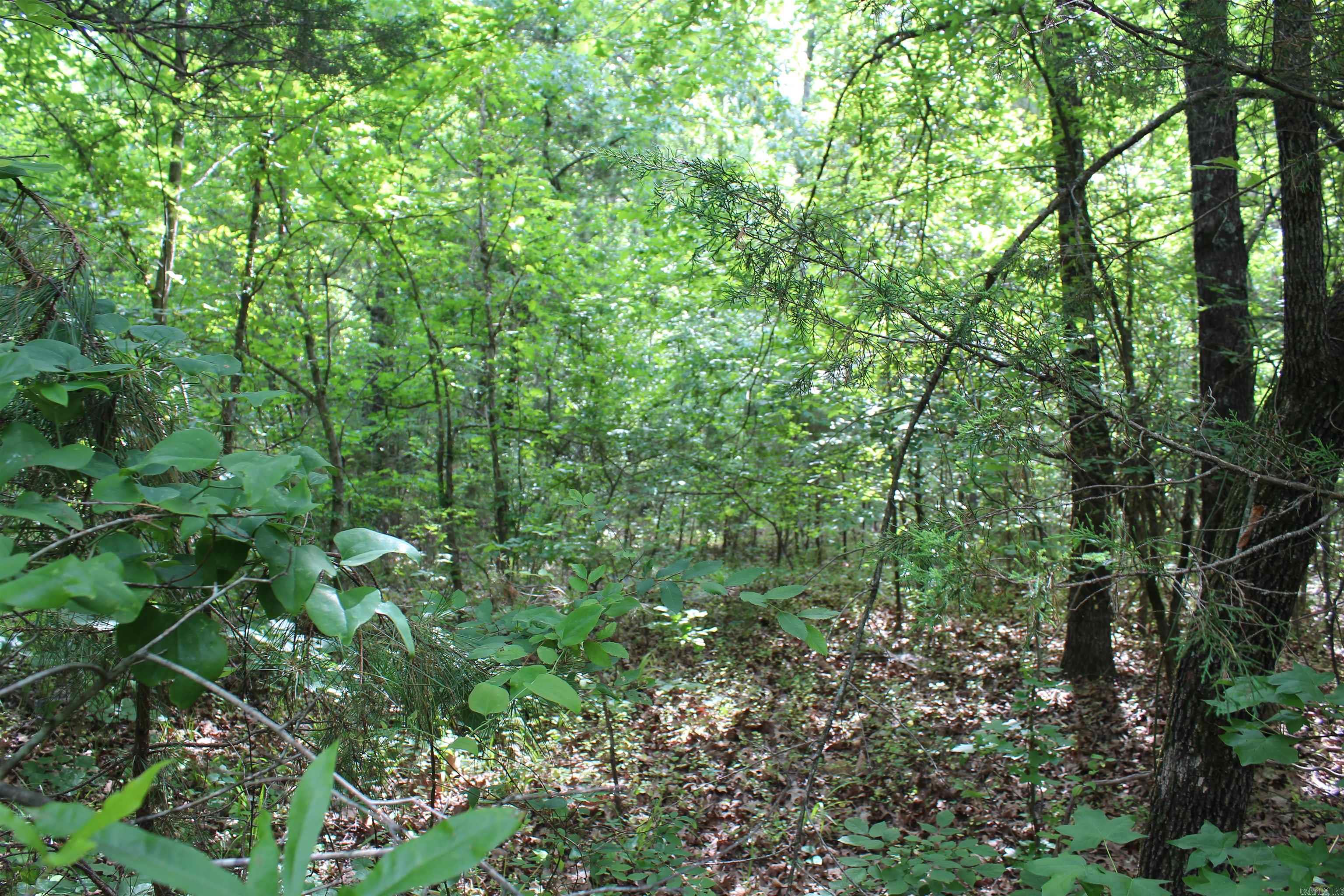 000 426  Dardanelle, AR