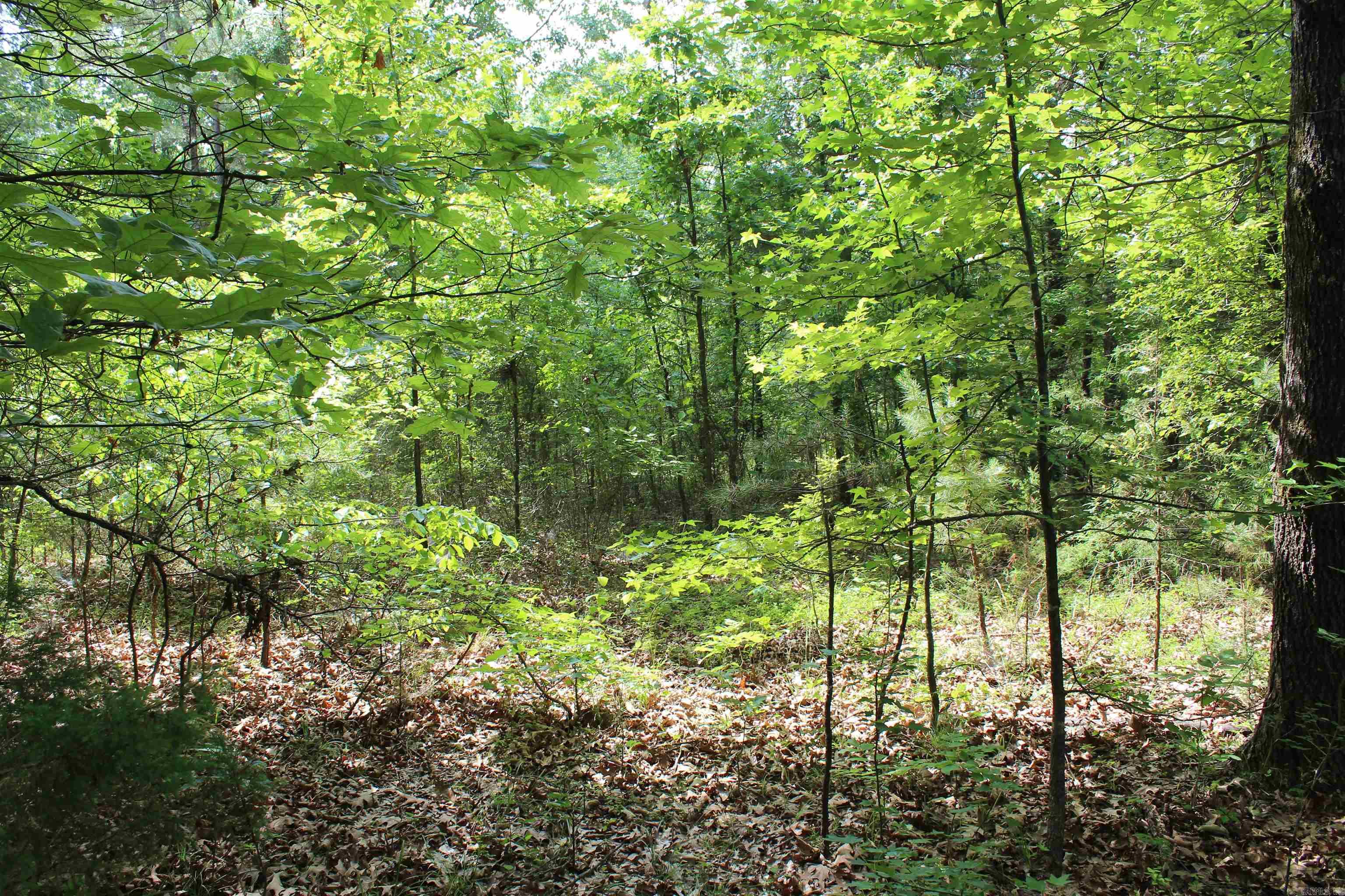 000 426  Dardanelle, AR
