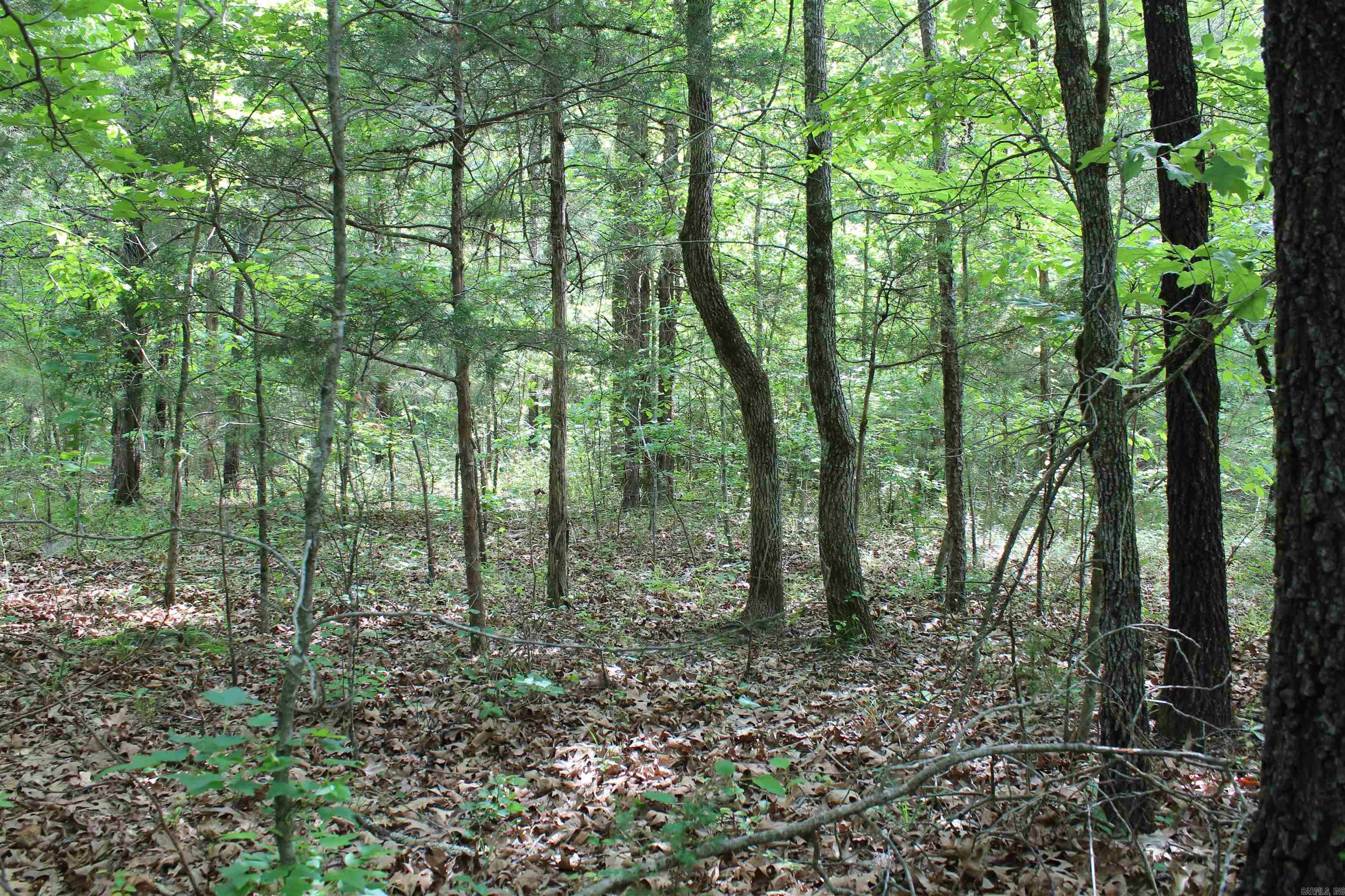 000 426  Dardanelle, AR