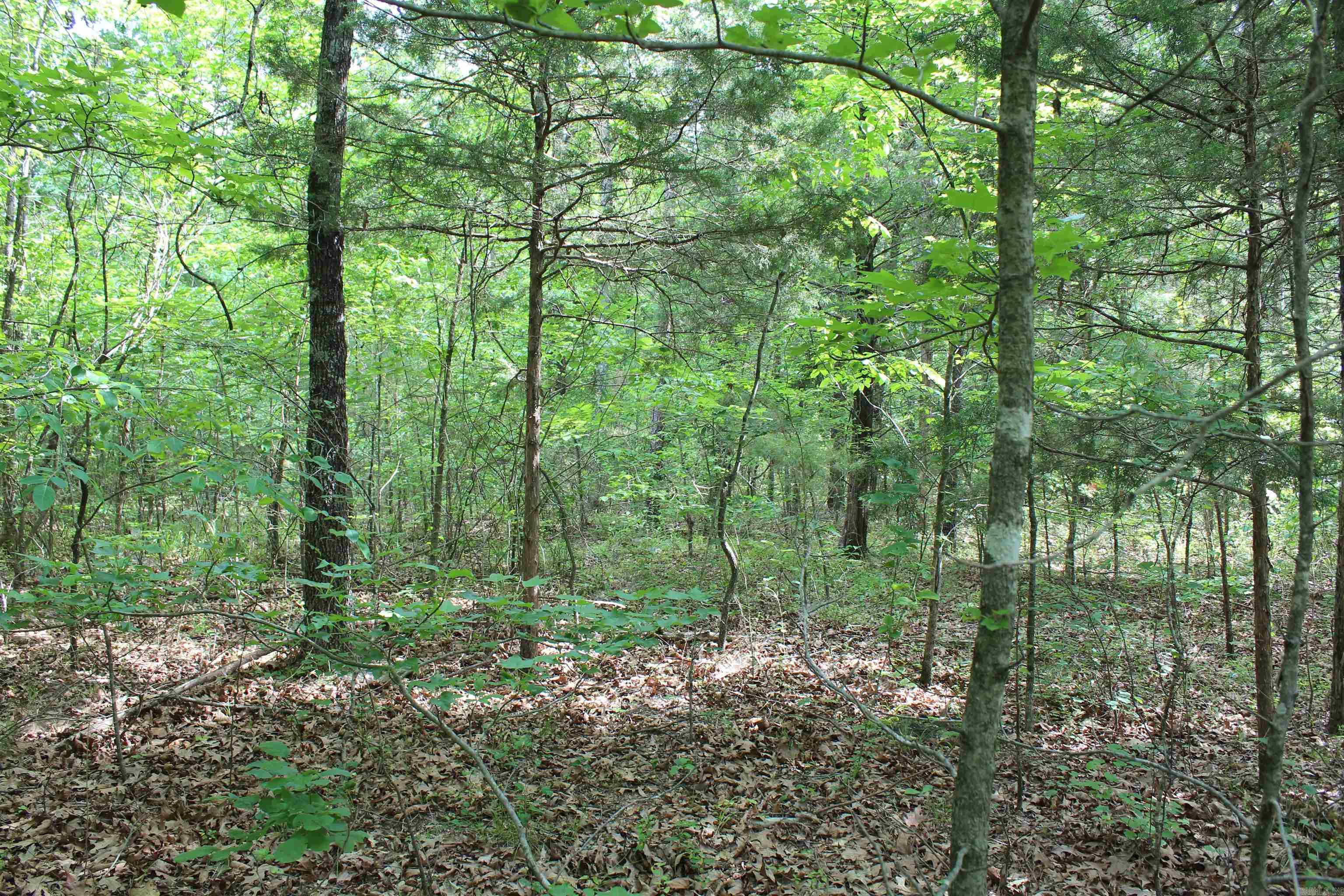 000 426  Dardanelle, AR