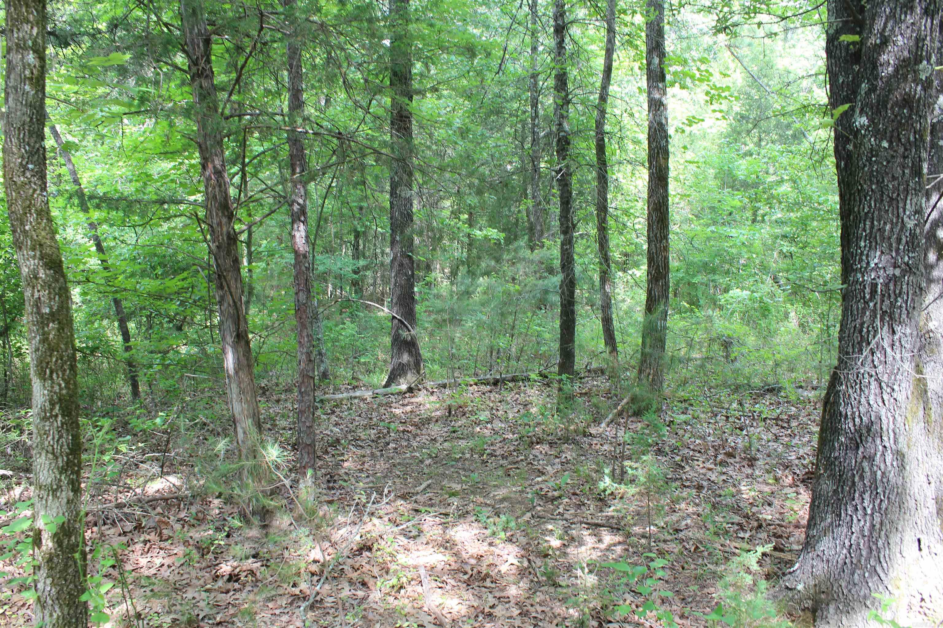 000 426  Dardanelle, AR