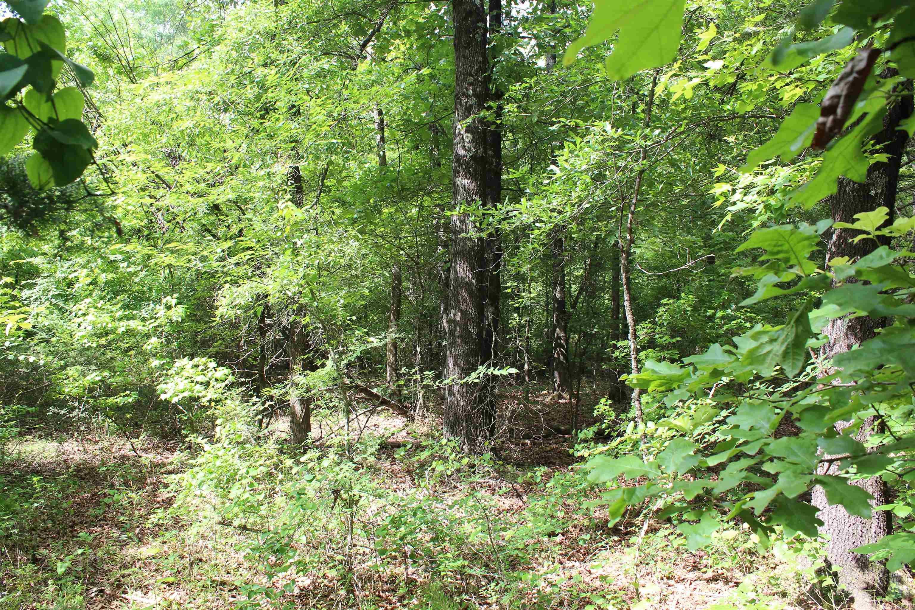 000 426  Dardanelle, AR