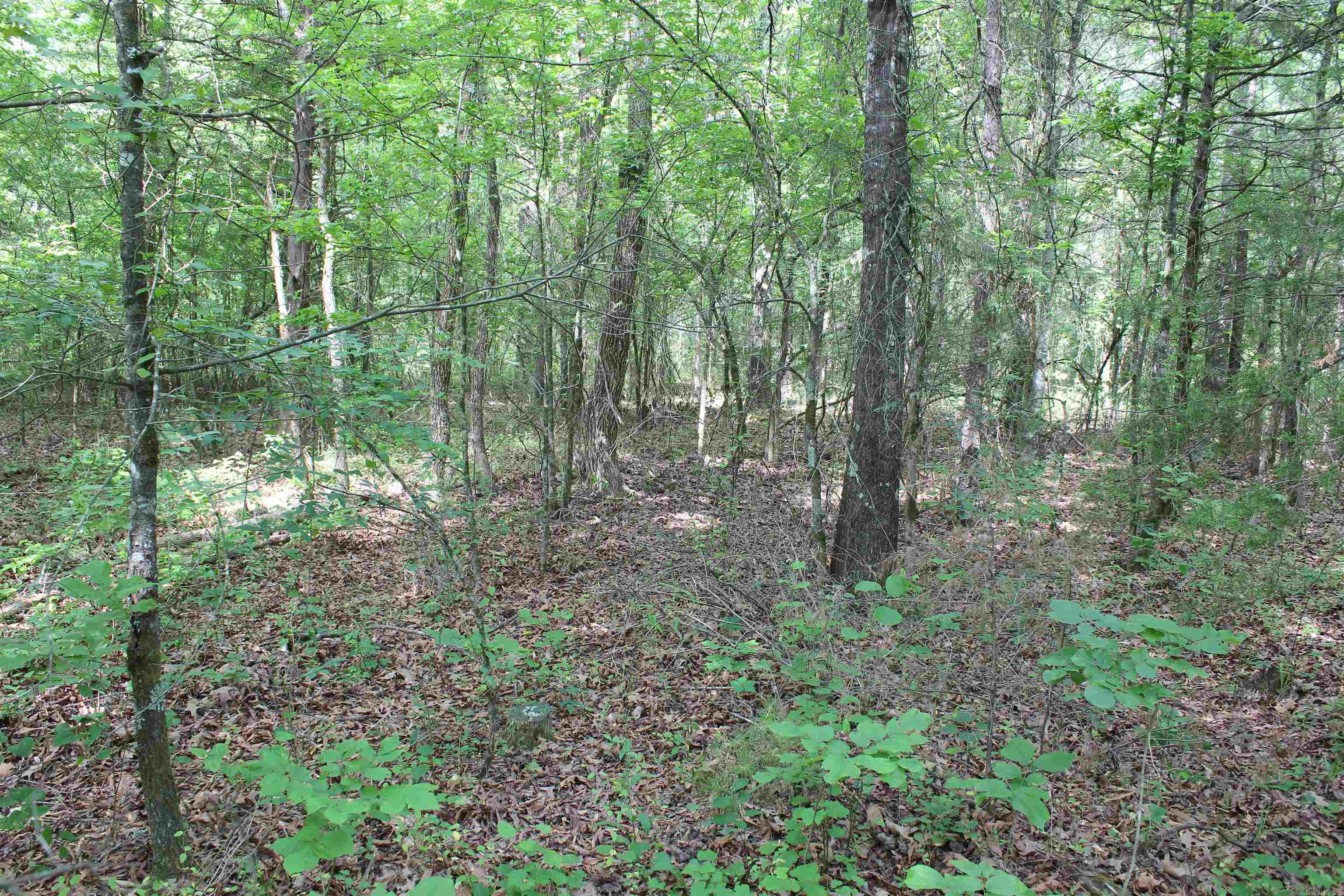 000 426  Dardanelle, AR
