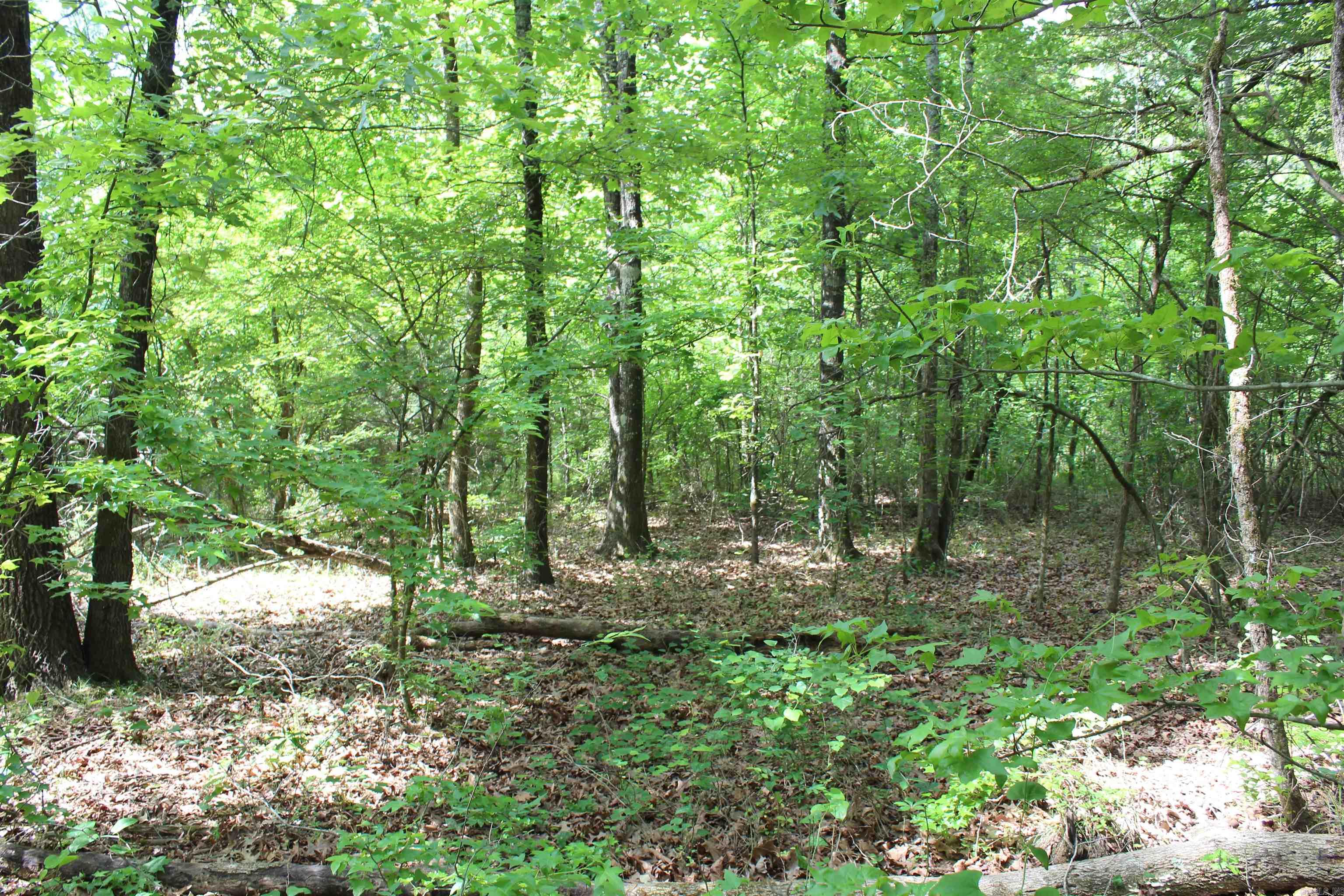 000 426  Dardanelle, AR